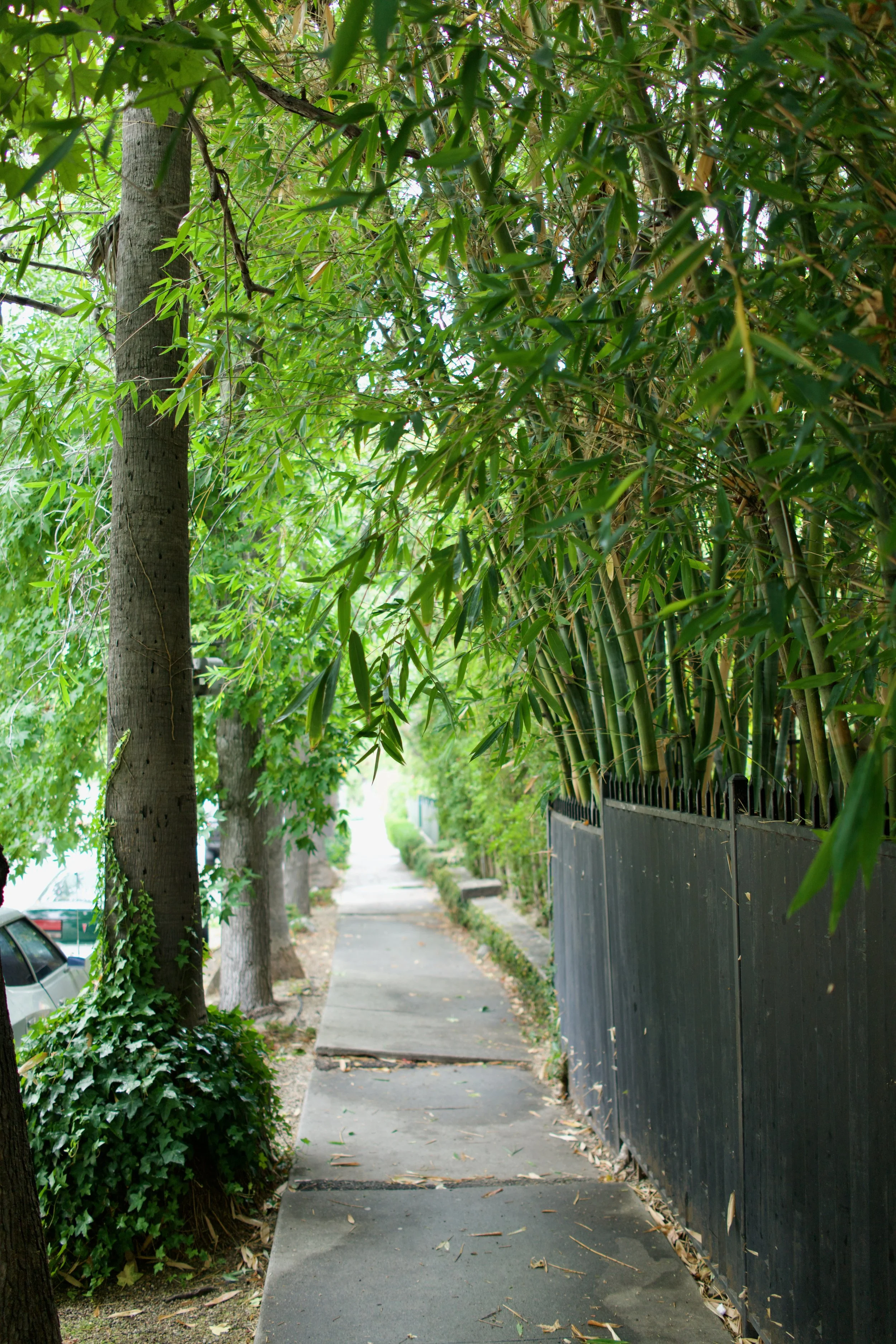  Spaces 2023:41 (2023) C-print on wood panel, 60”x40” 