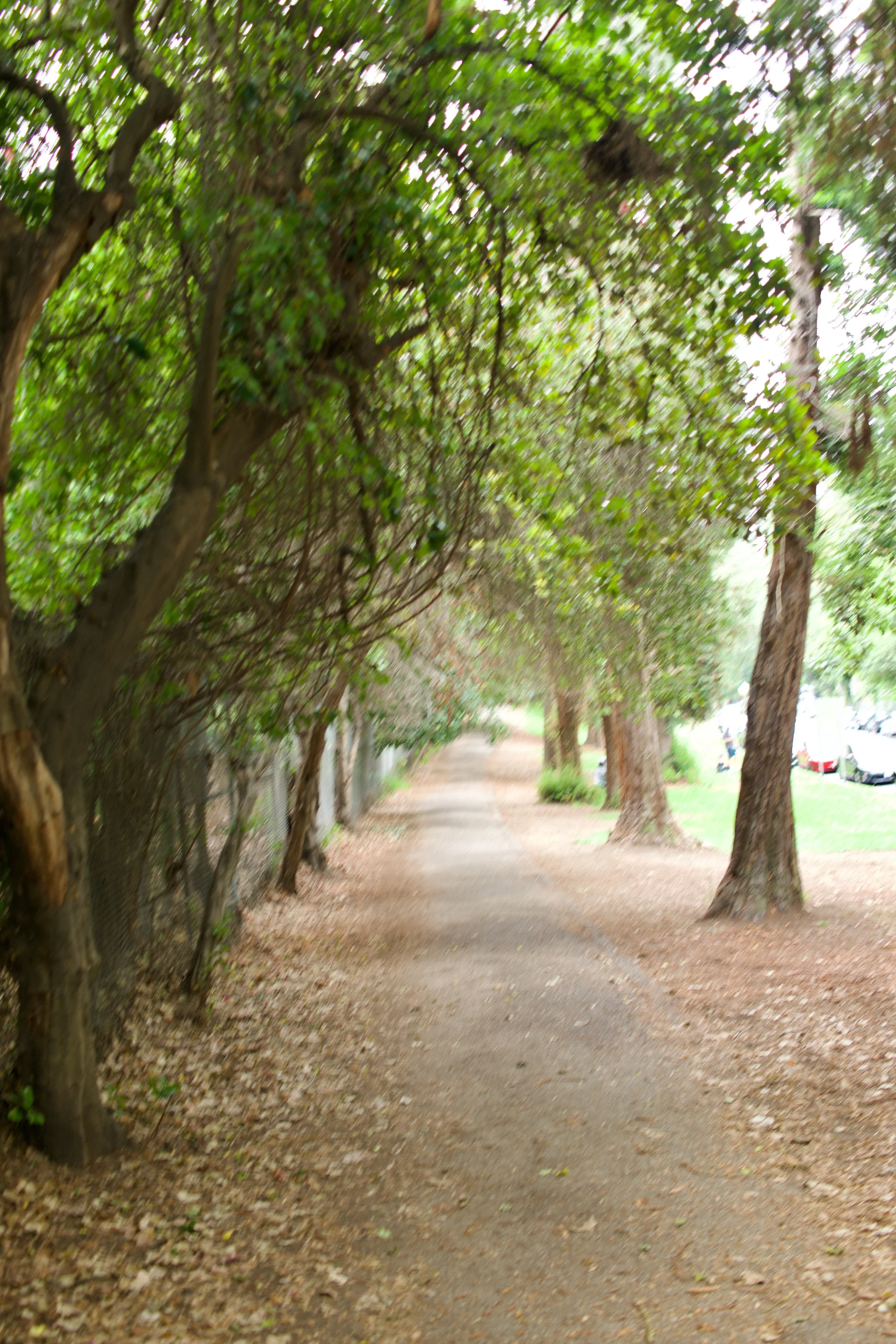  Spaces 2023:42 (2023) C-print on wood panel, 60”x40” 