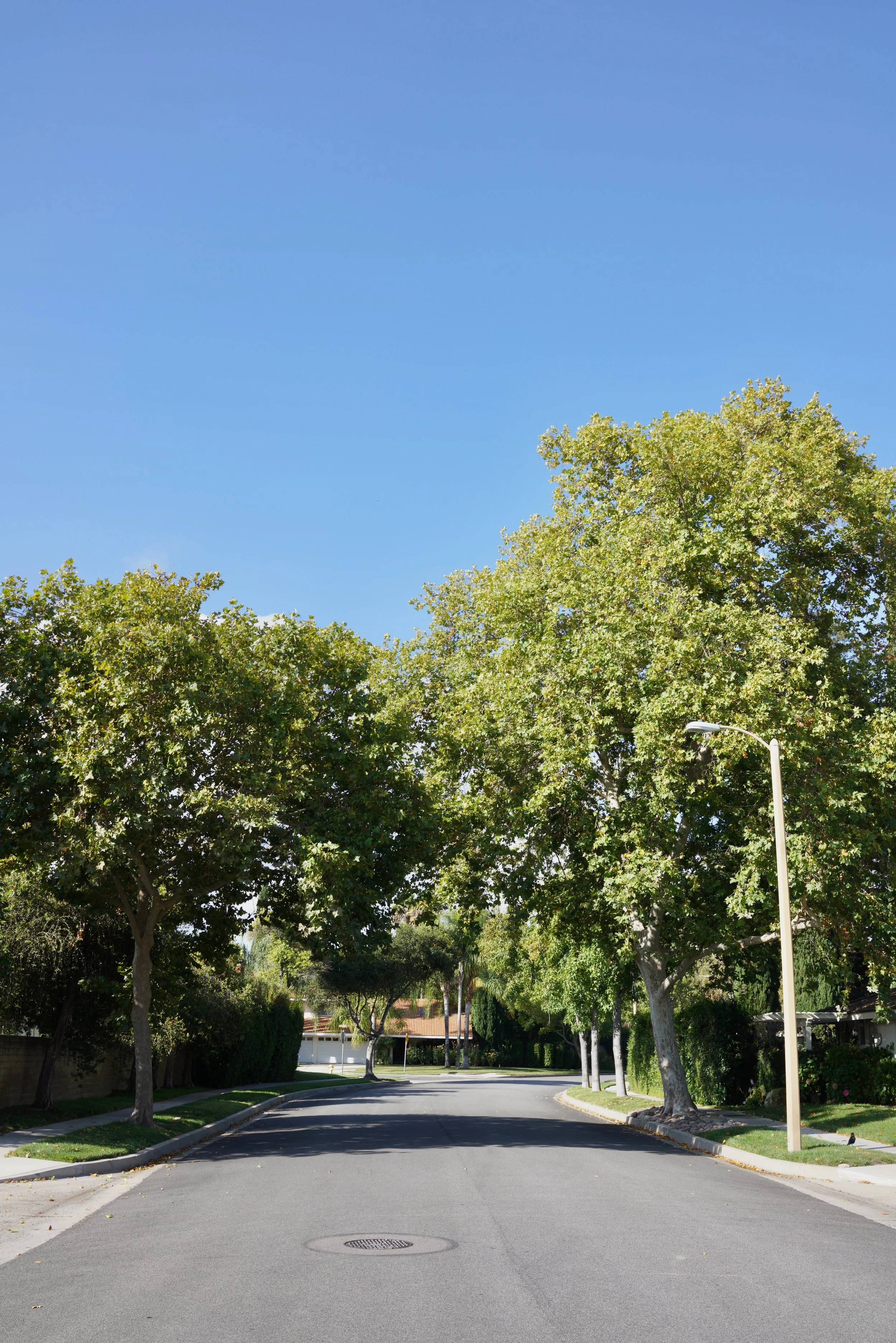  Spaces 2023:45 (2023) C-print on wood panel, 60”x40” 