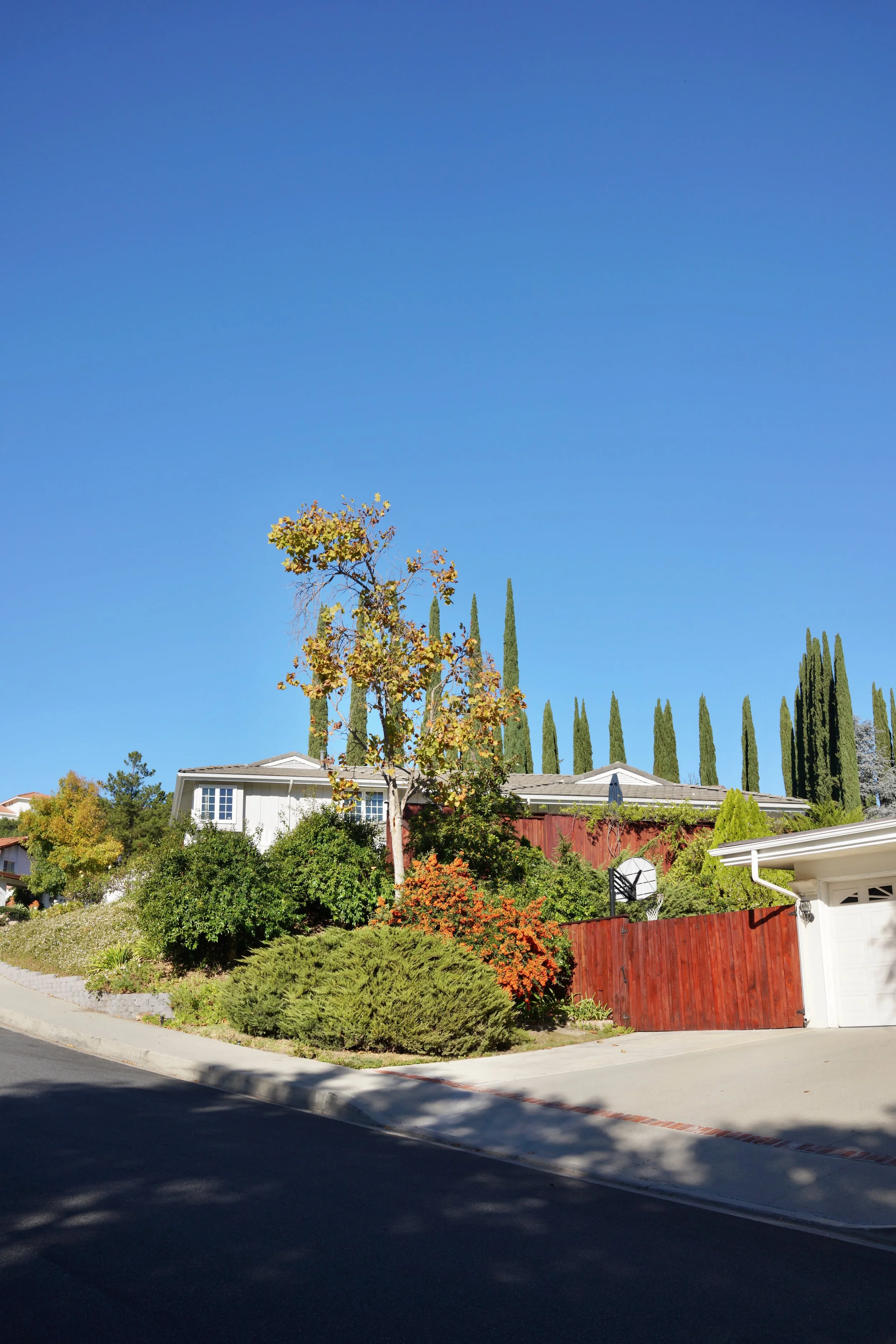  Spaces 2023:49 (2023) C-print on wood panel, 60”x40” 