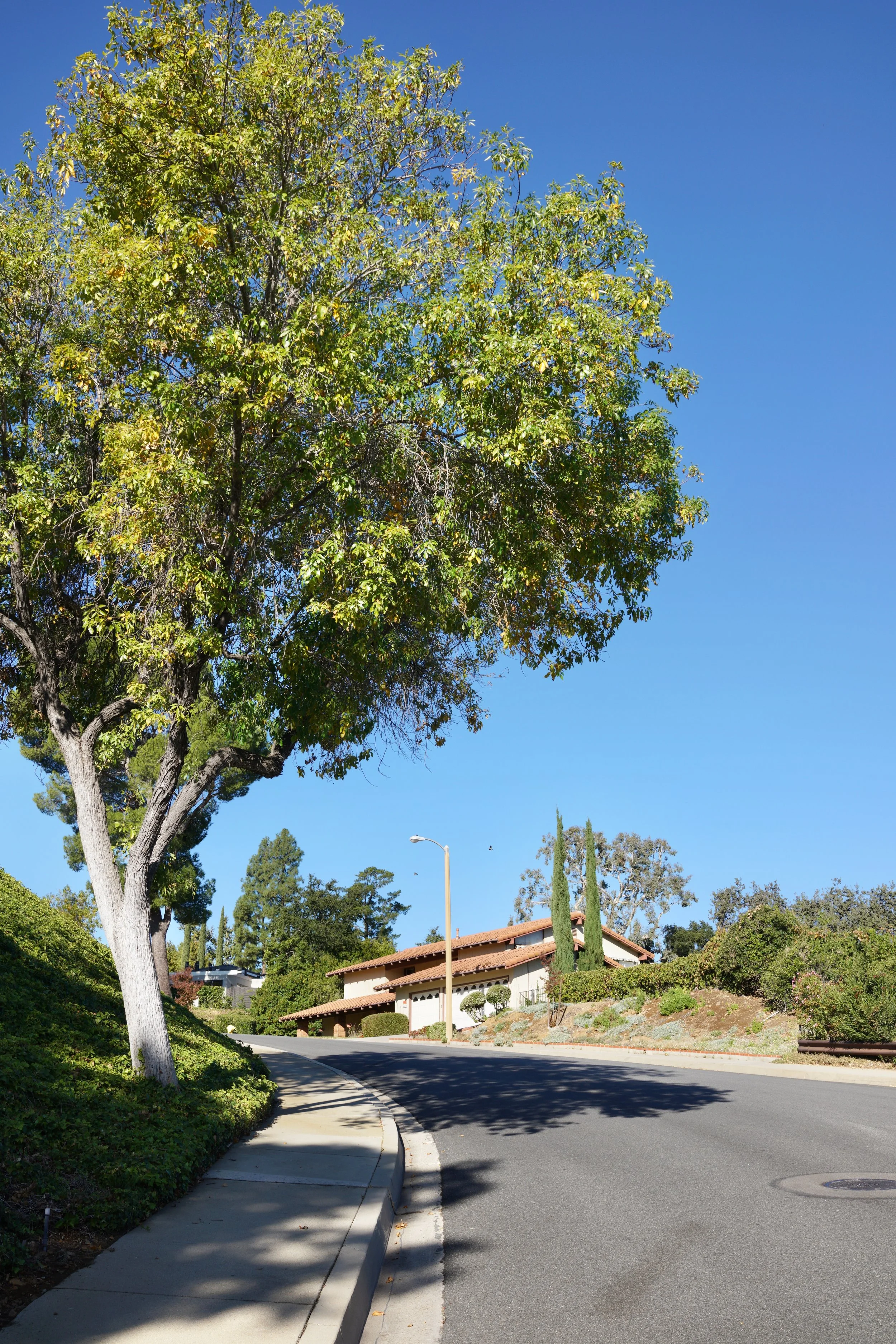  Spaces 2023:50 (2023) C-print on wood panel, 60”x40” 