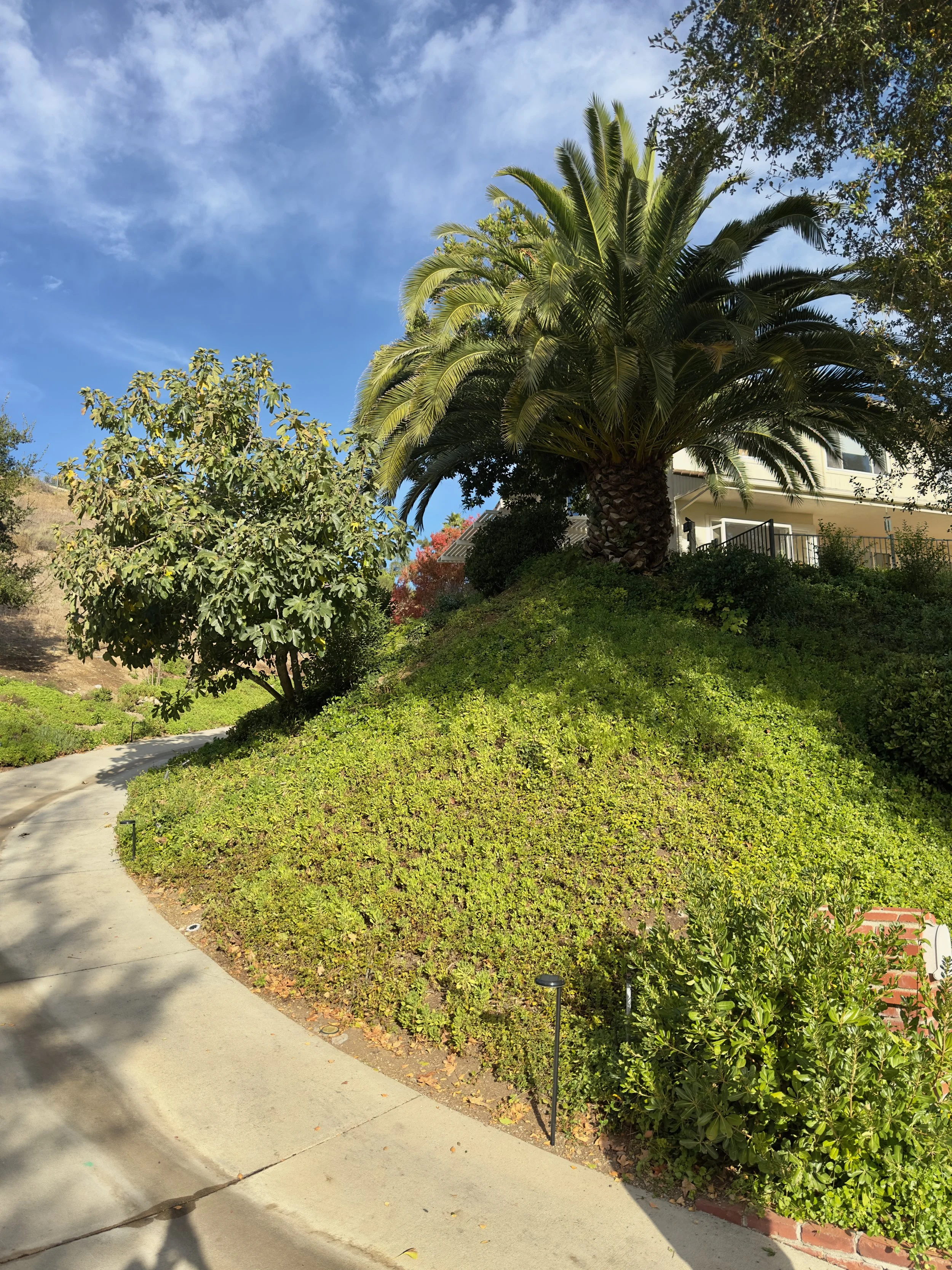  Spaces 2023:52 (2023) C-print on wood panel, 60”x40” 