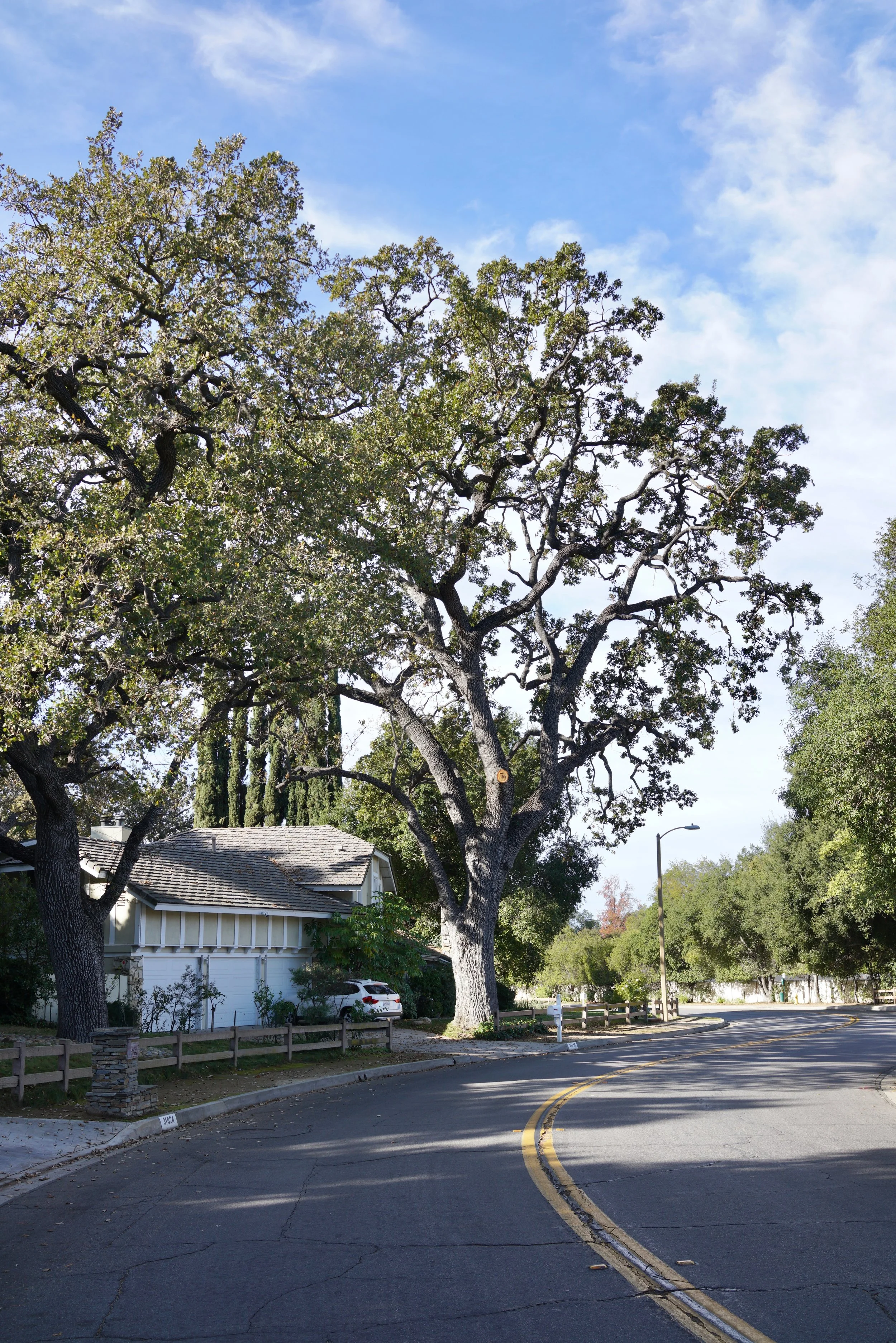  Spaces 2023:54 (2023) C-print on wood panel, 60”x40” 