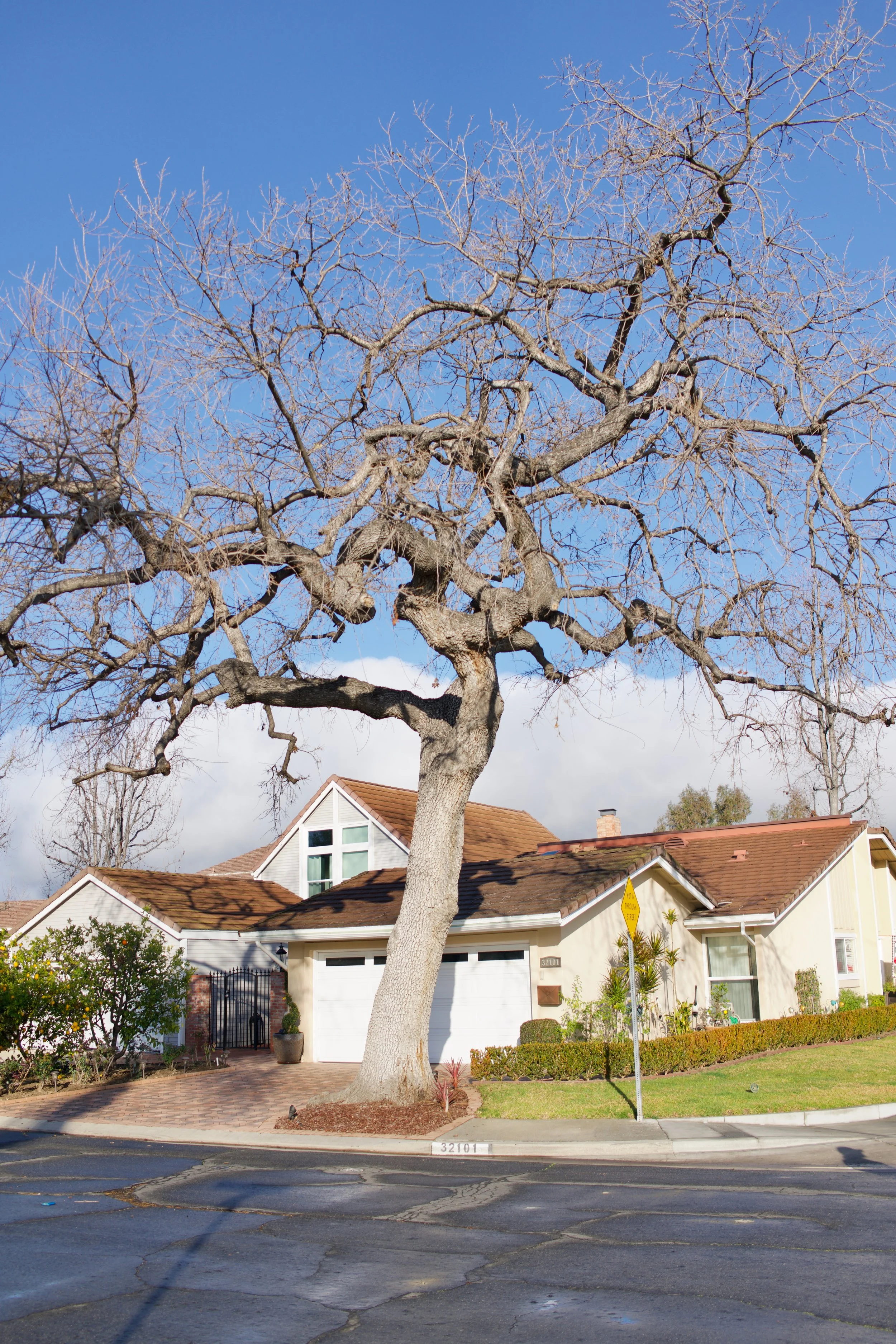  Equilibrium 2023:2 (2023) C-print on wood panel, 60”x40” 