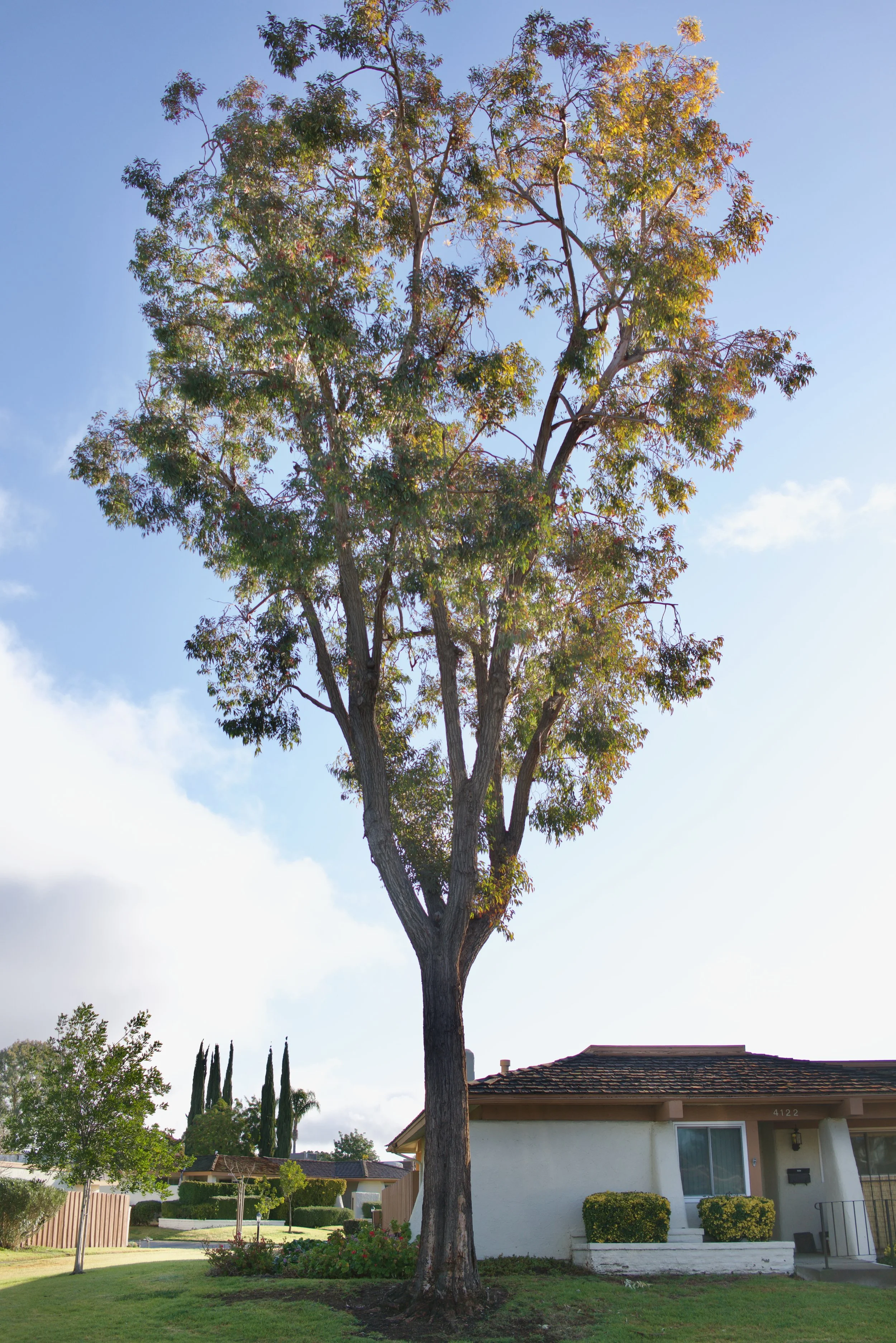  Equilibrium 2023:3 (2023) C-print on wood panel, 60”x40” 