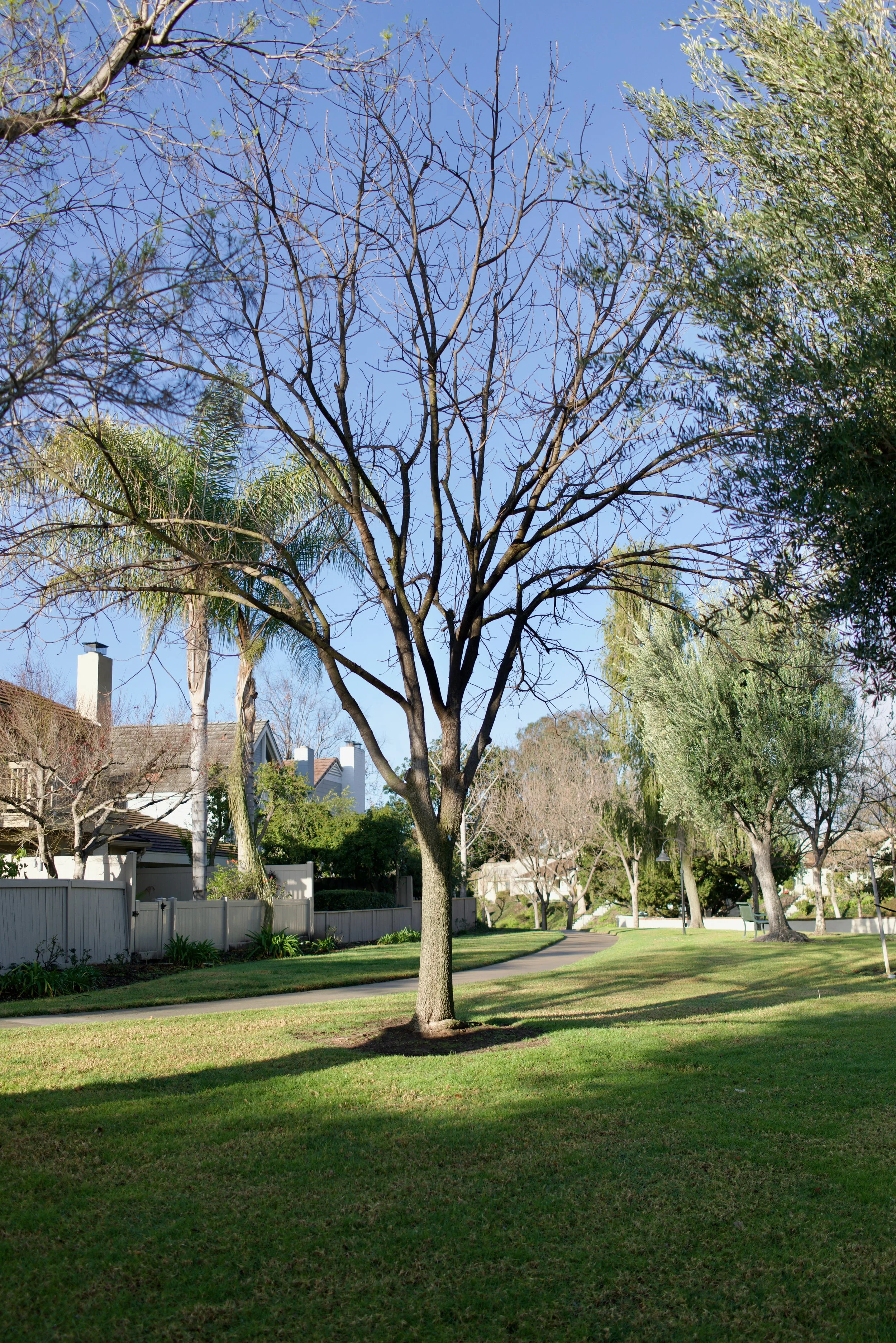  Equilibrium 2023:6 (2023) C-print on wood panel, 60”x40” 