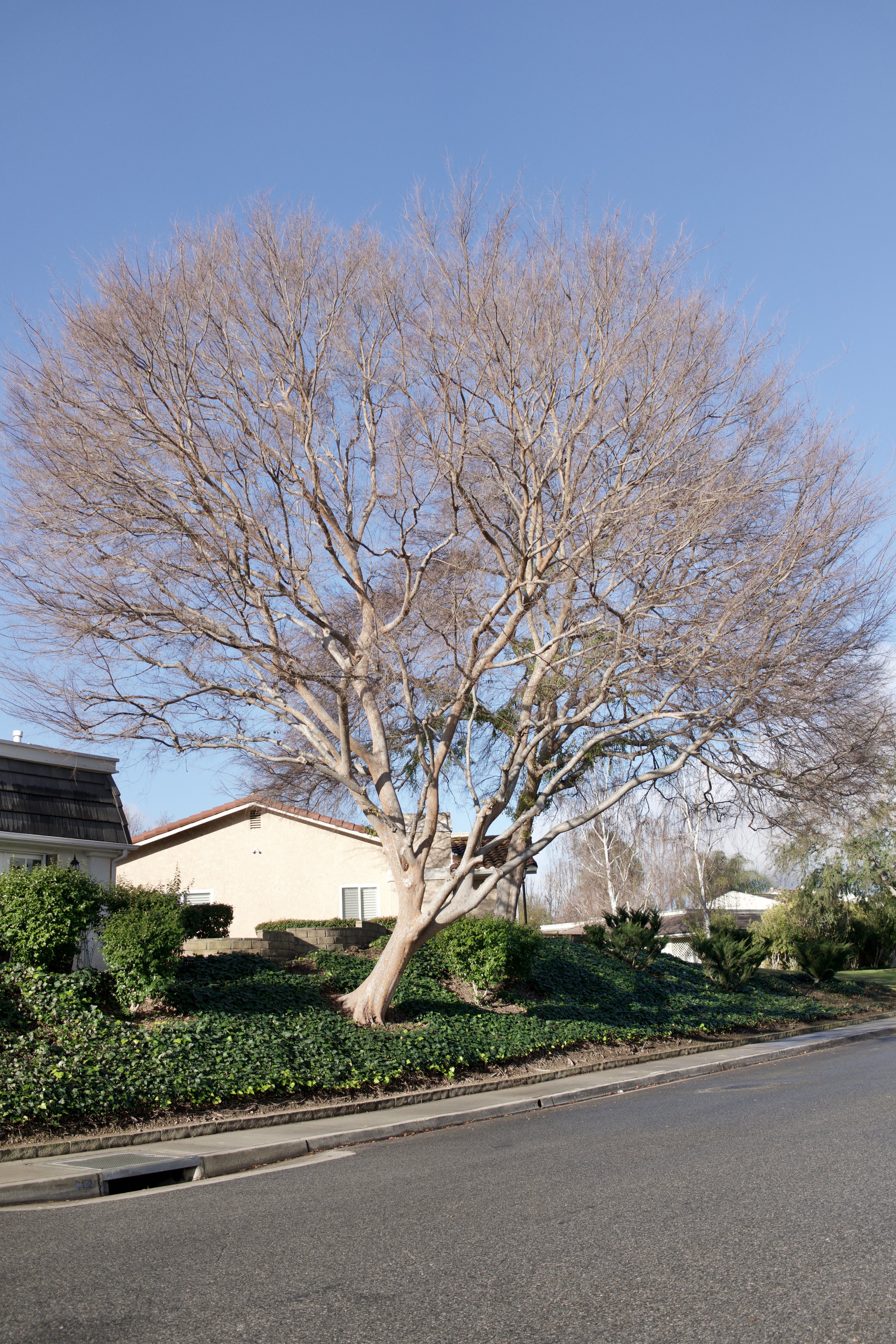  Equilibrium 2023:7 (2023) C-print on wood panel, 60”x40” 