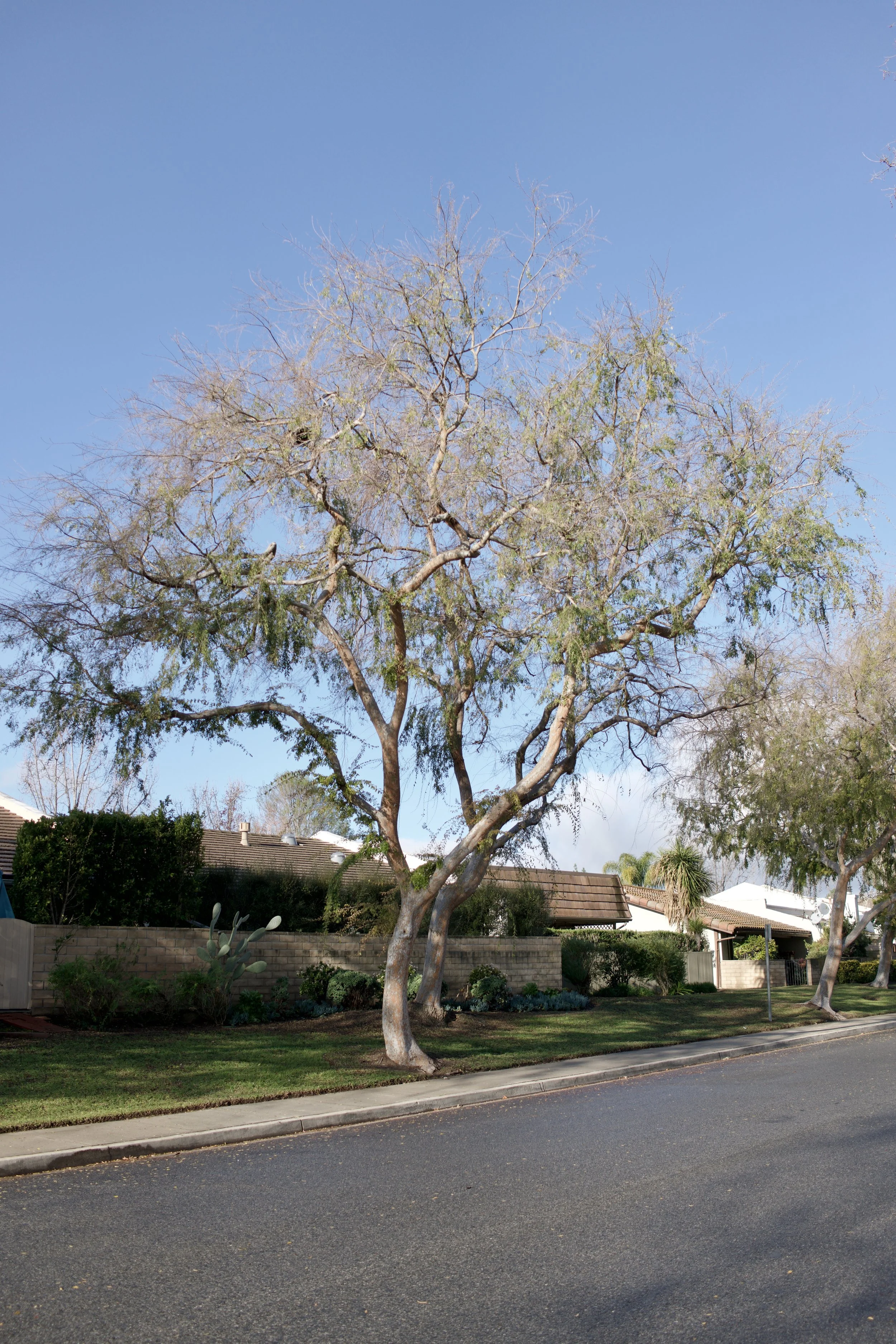  Equilibrium 2023:8 (2023) C-print on wood panel, 60”x40” 