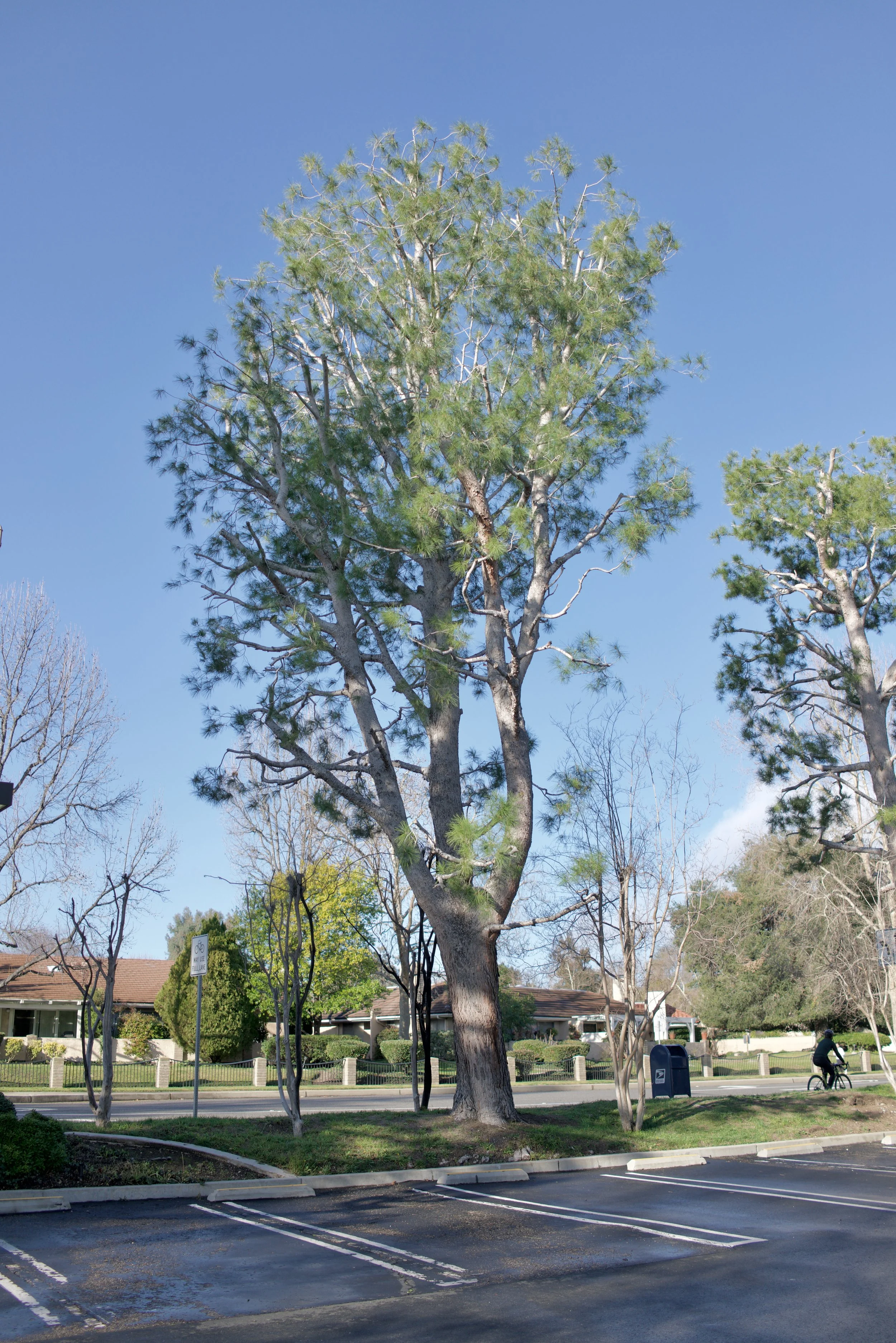  Equilibrium 2023:9 (2023) C-print on wood panel, 60”x40” 