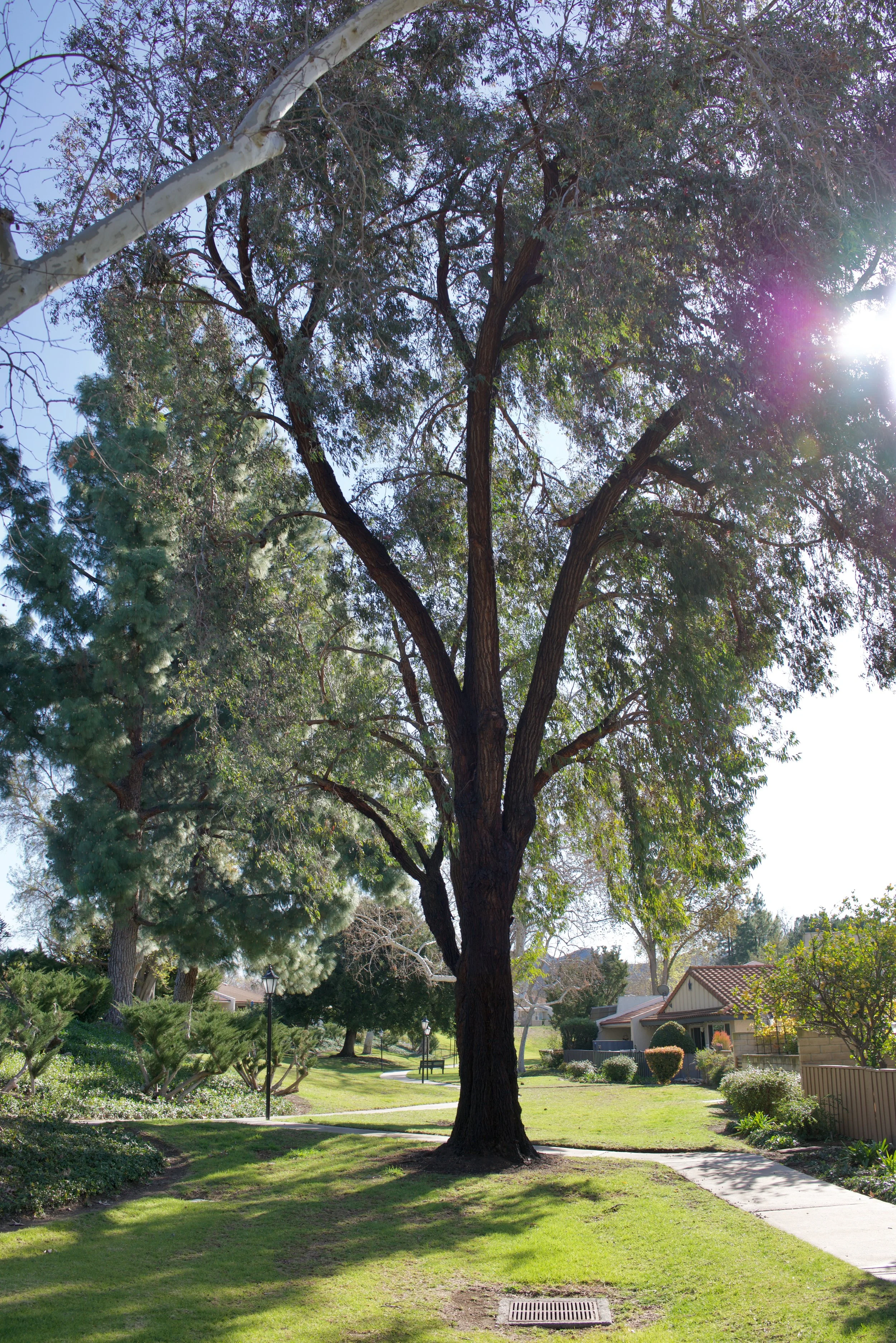  Equilibrium 2023:10 (2023) C-print on wood panel, 60”x40” 