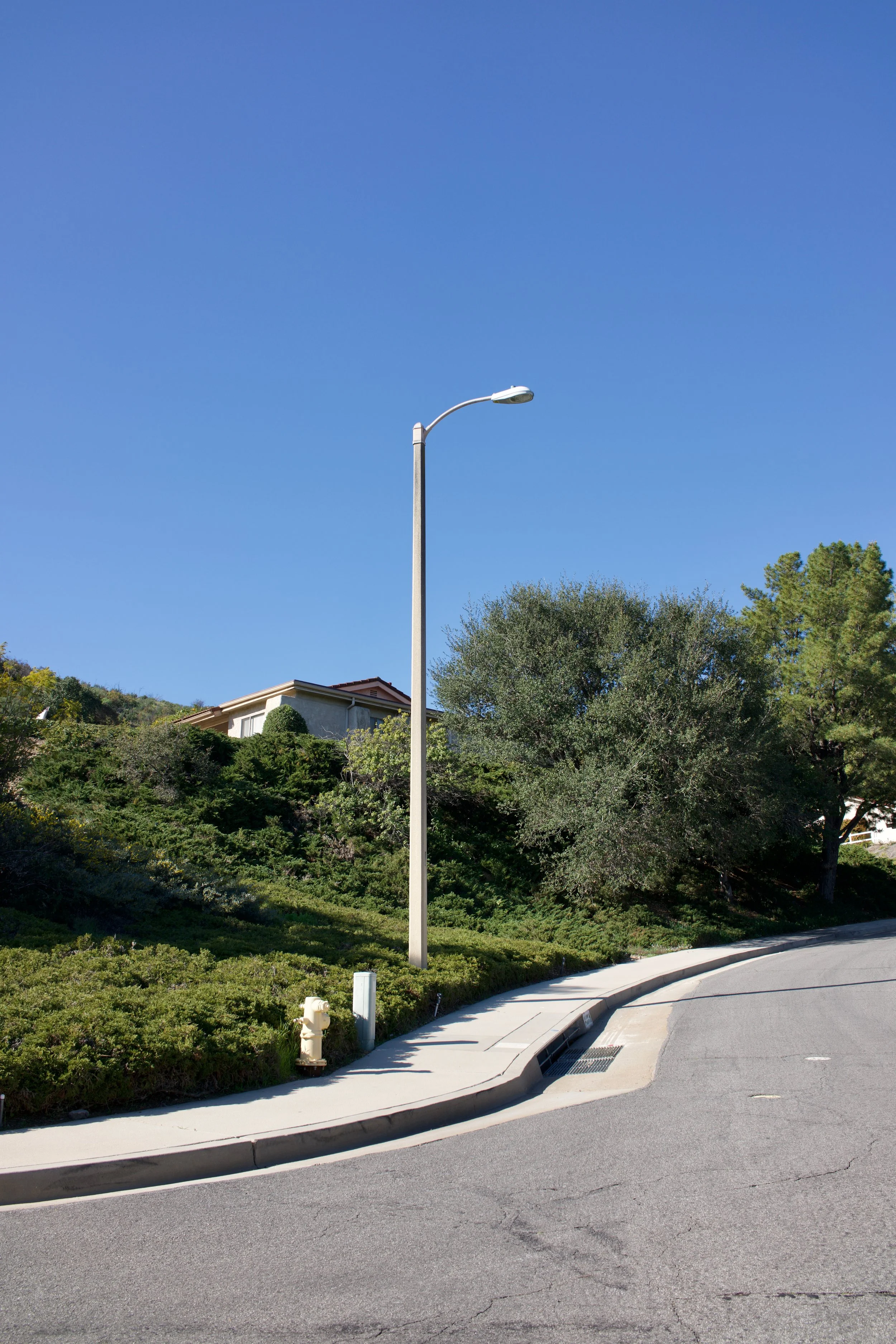  Equilibrium 2023:15 (2023) C-print on wood panel, 60”x40” 