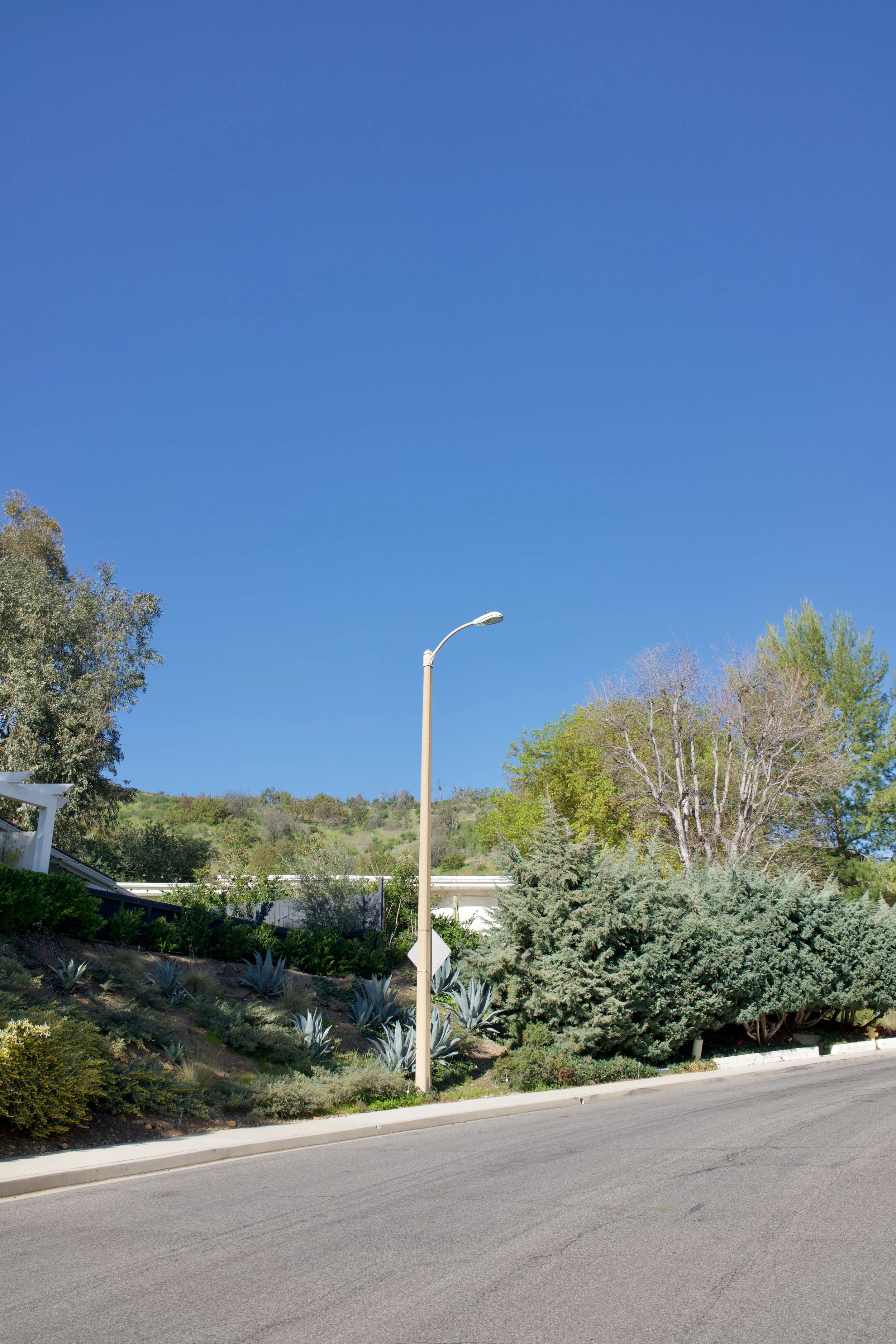  Equilibrium 2023:16 (2023) C-print on wood panel, 60”x40” 