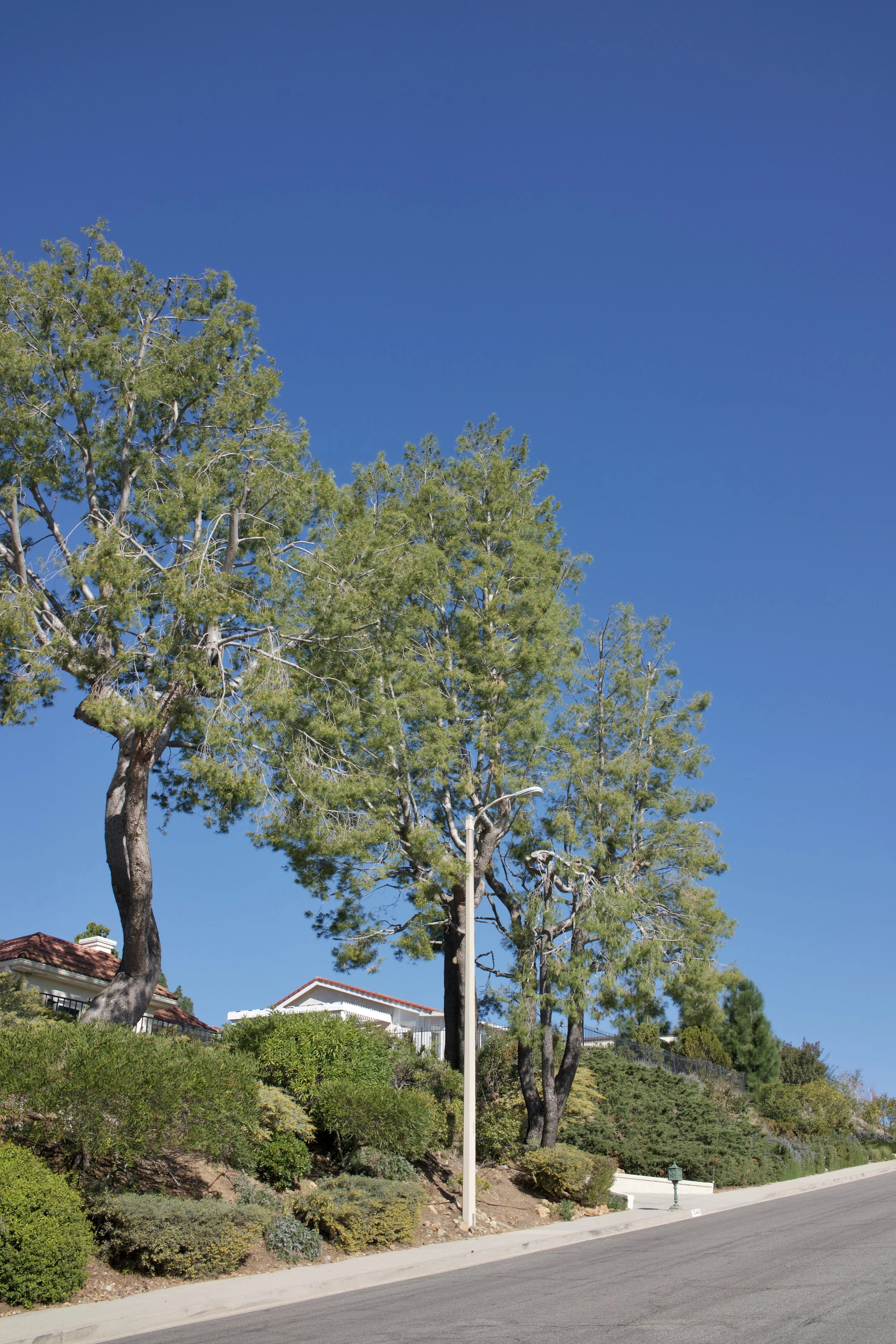  Equilibrium 2023:17 (2023) C-print on wood panel, 60”x40” 