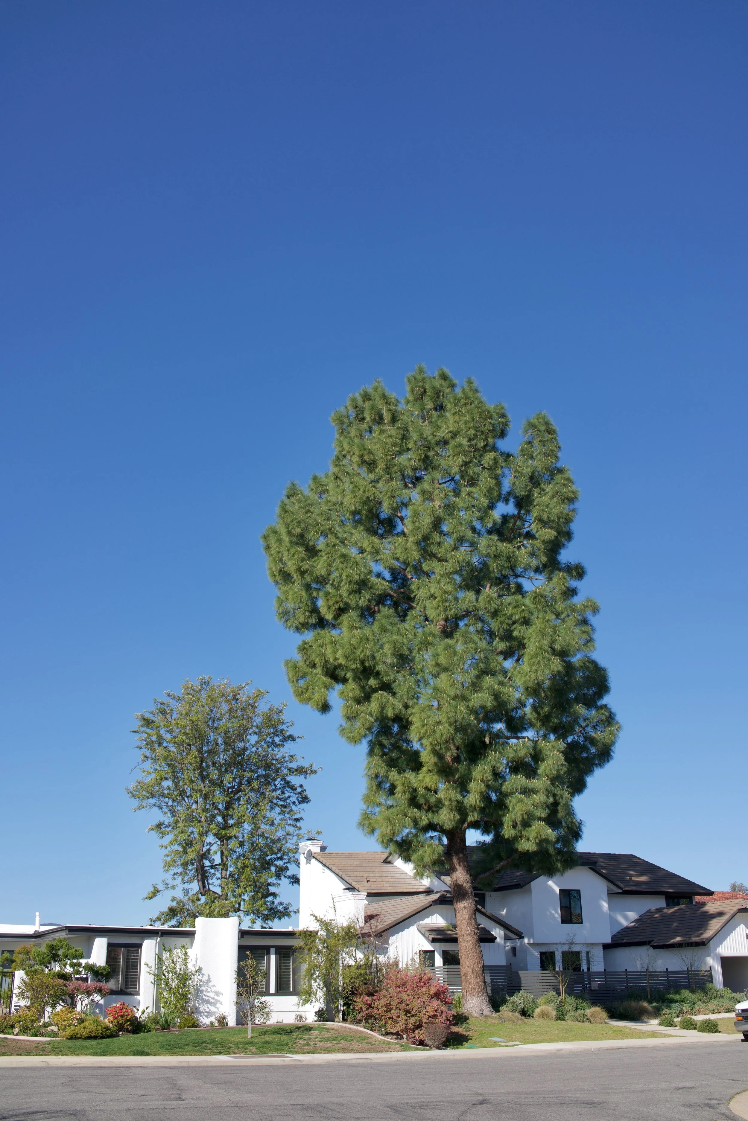  Equilibrium 2023:19 (2023) C-print on wood panel, 60”x40” 