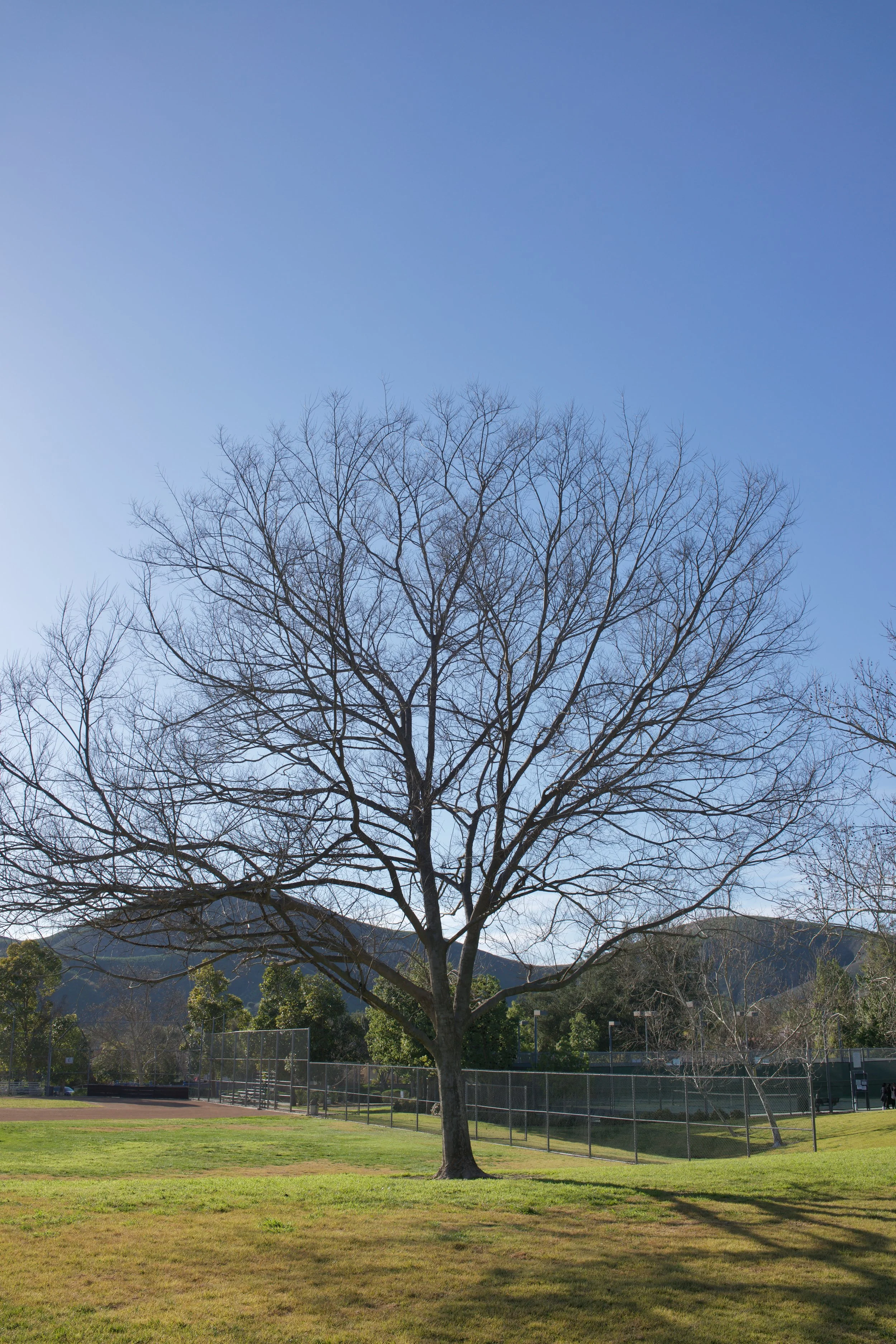  Equilibrium 2023:21 (2023) C-print on wood panel, 60”x40” 