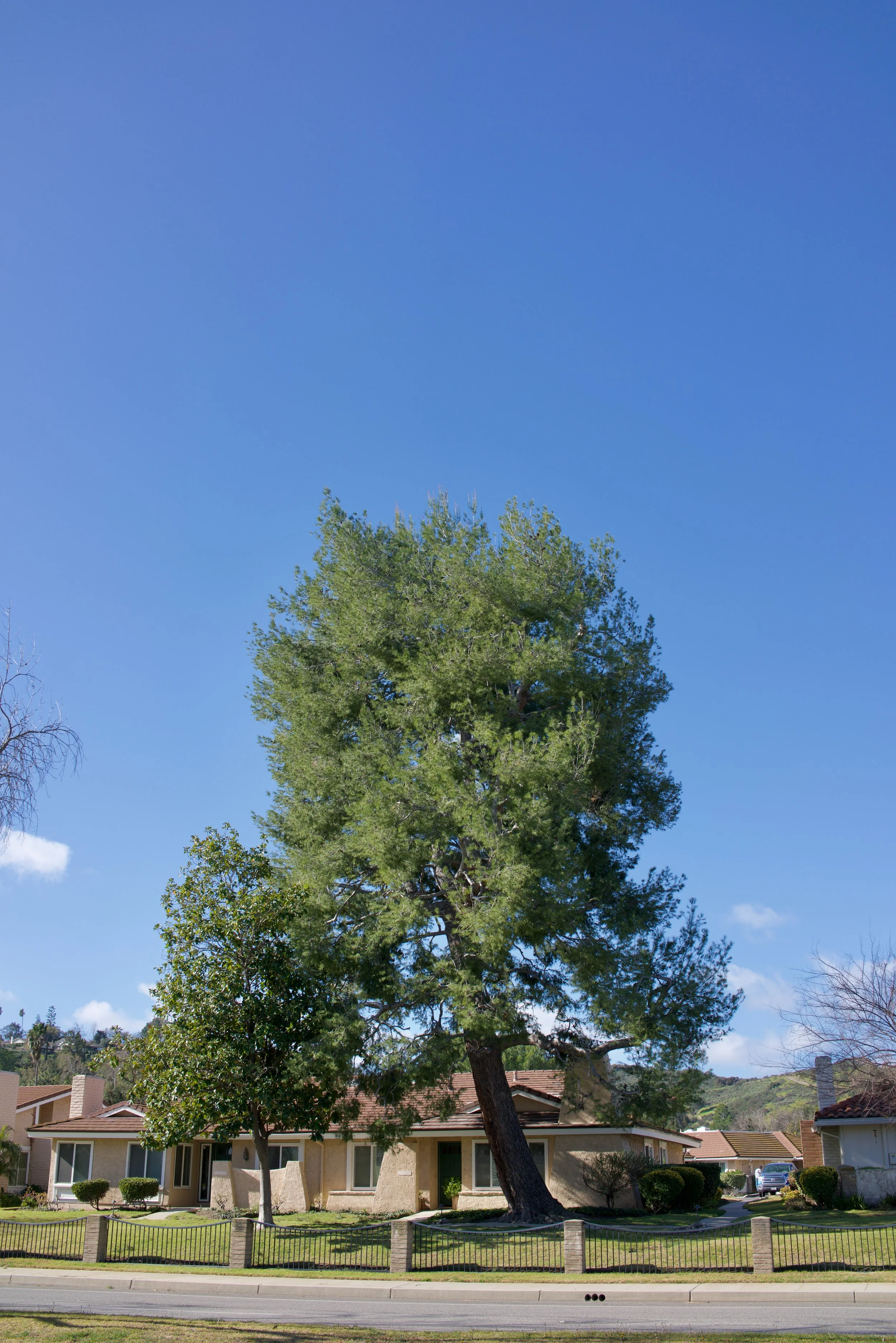  Equilibrium 2023:24 (2023) C-print on wood panel, 60”x40” 