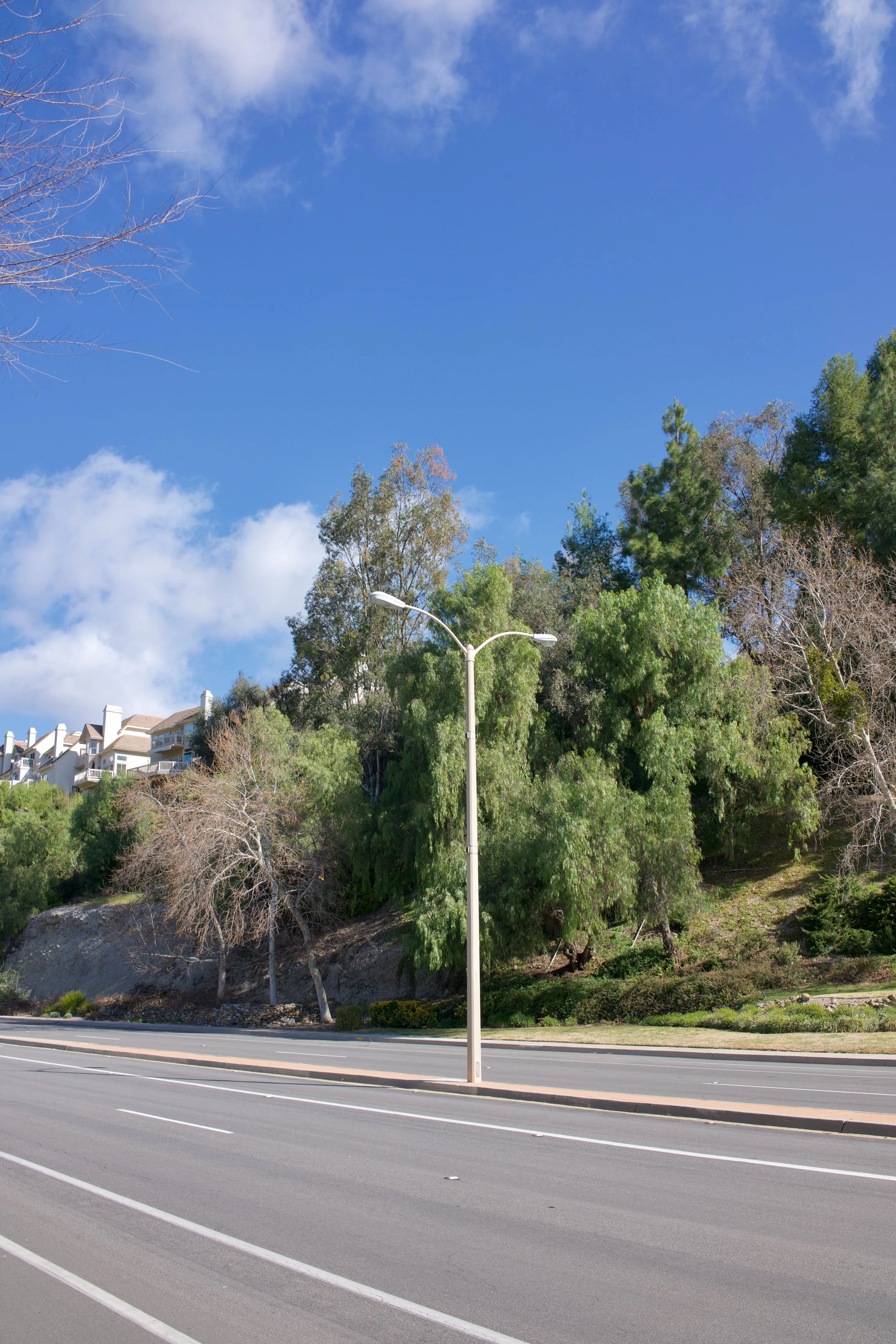  Equilibrium 2023:25 (2023) C-print on wood panel, 60”x40” 