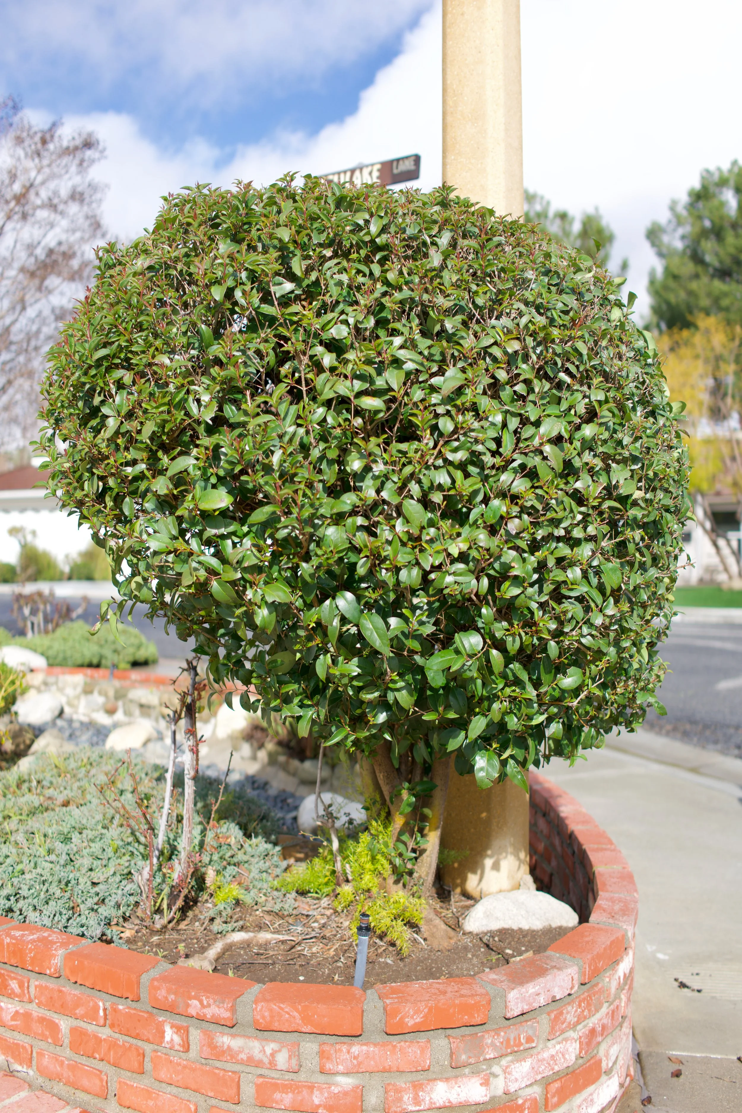  Equilibrium 2023:27 (2023) C-print on wood panel, 60”x40” 