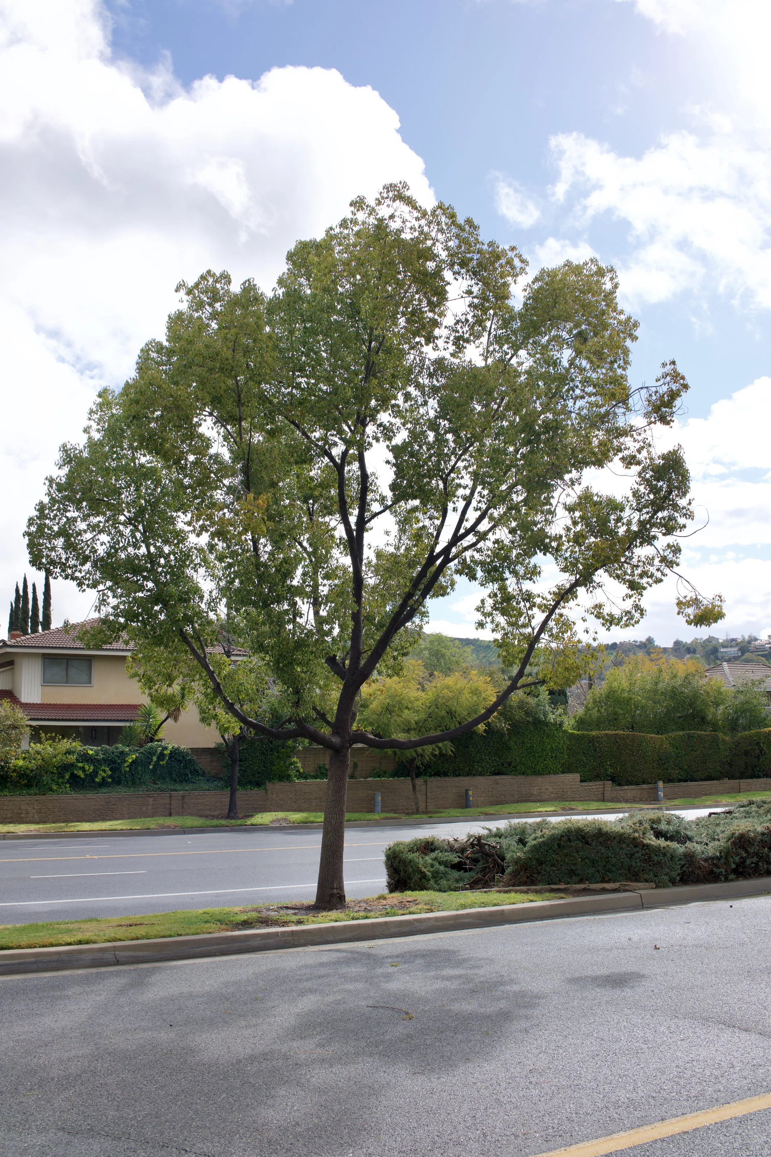  Equilibrium 2023:28 (2023) C-print on wood panel, 60”x40” 