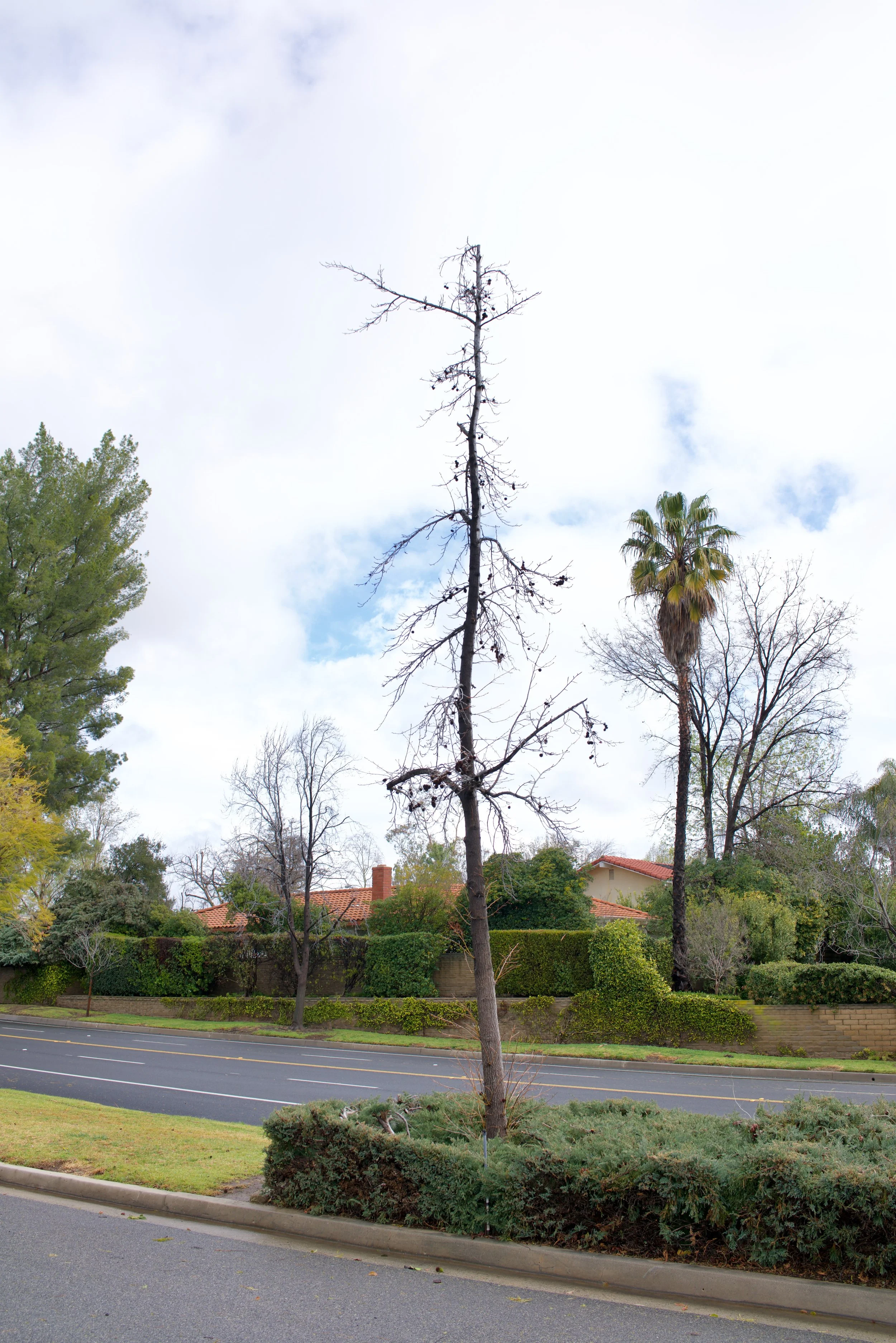  Equilibrium 2023:29 (2023) C-print on wood panel, 60”x40” 