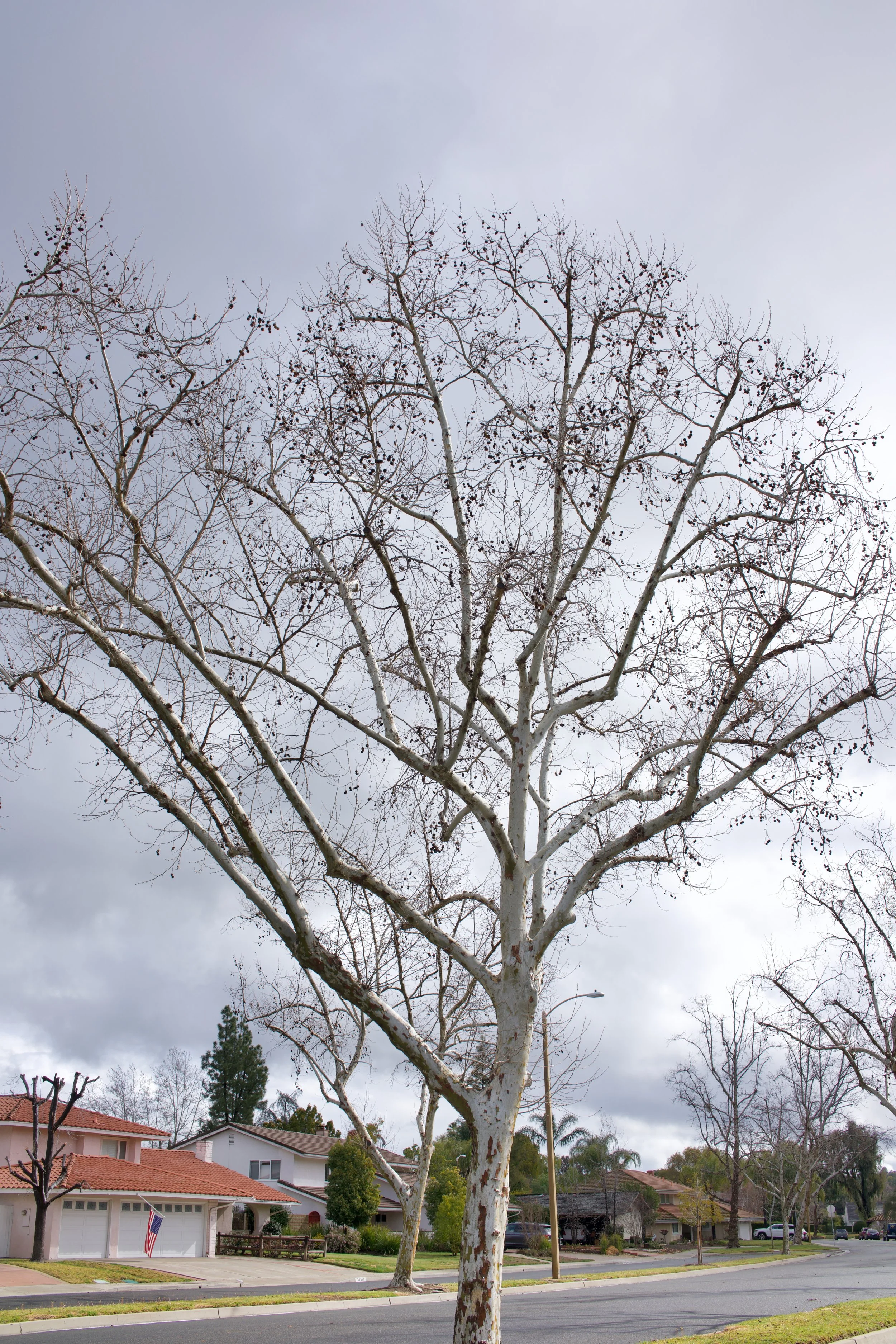  Equilibrium 2023:30 (2023) C-print on wood panel, 60”x40” 