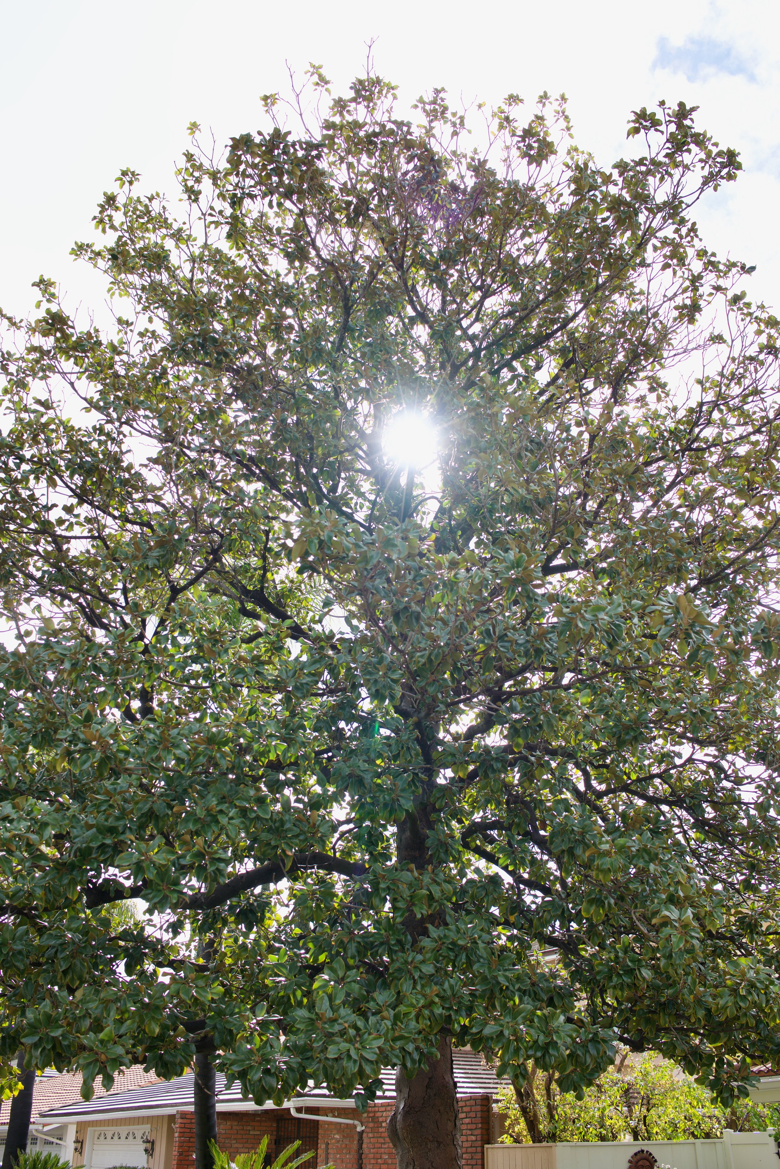  Equilibrium 2023:31 (2023) C-print on wood panel, 60”x40” 