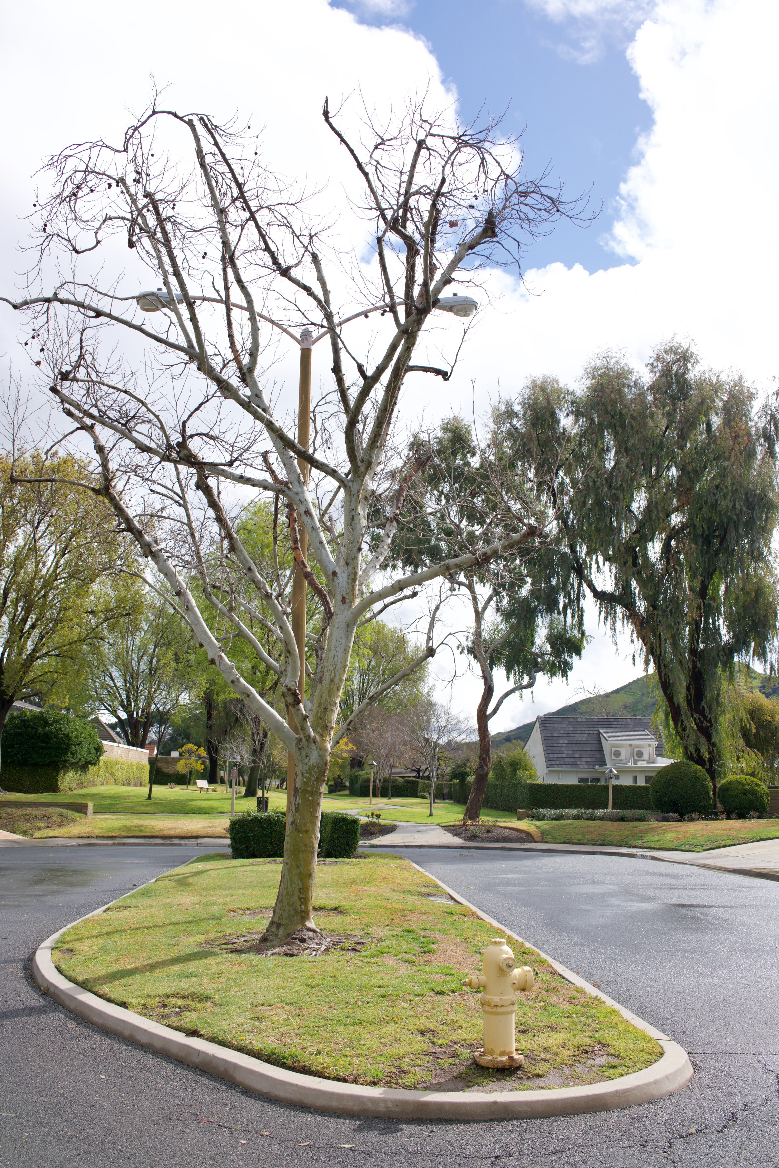  Equilibrium 2023:32 (2023) C-print on wood panel, 60”x40” 