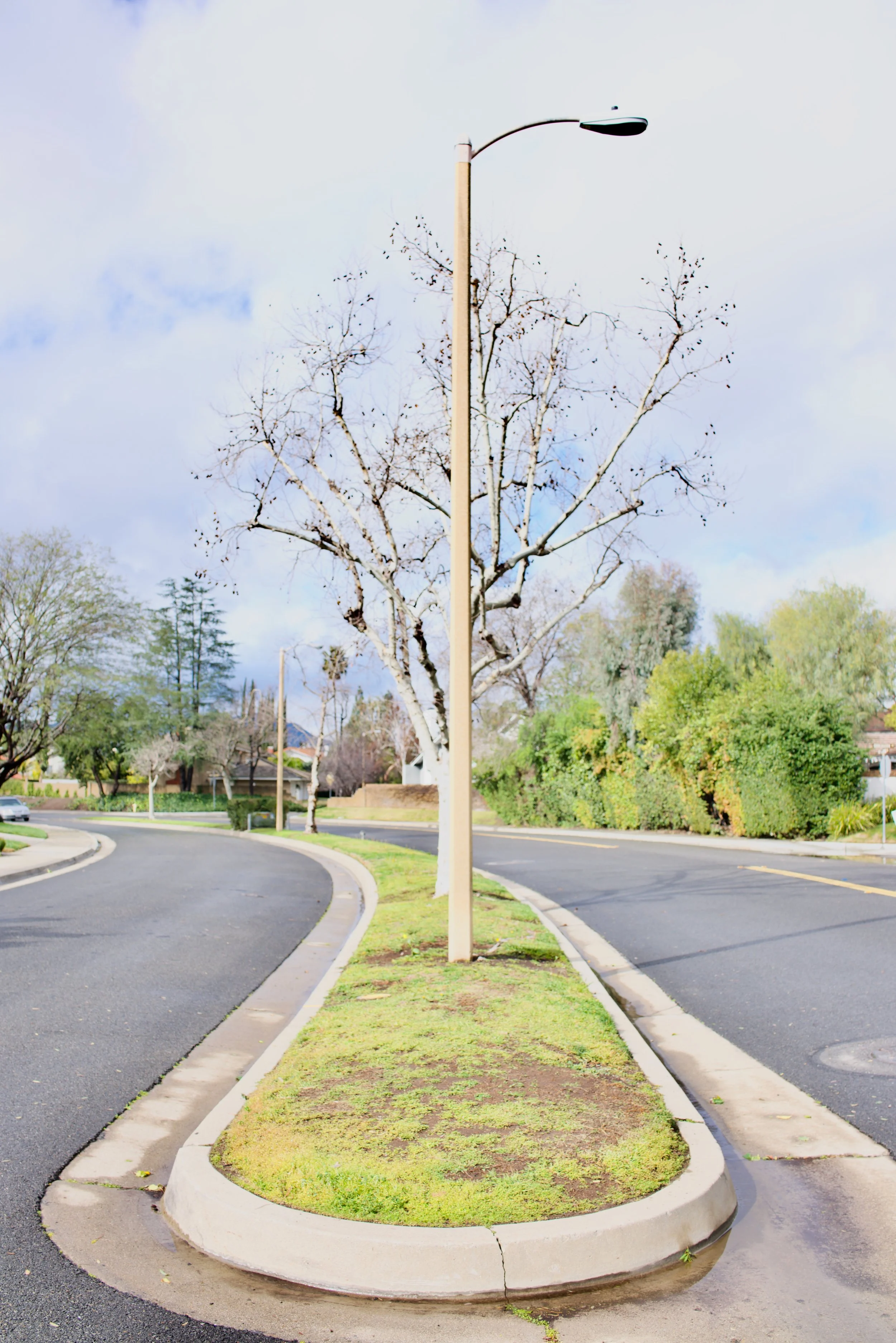  Equilibrium 2023:33 (2023) C-print on wood panel, 60”x40” 