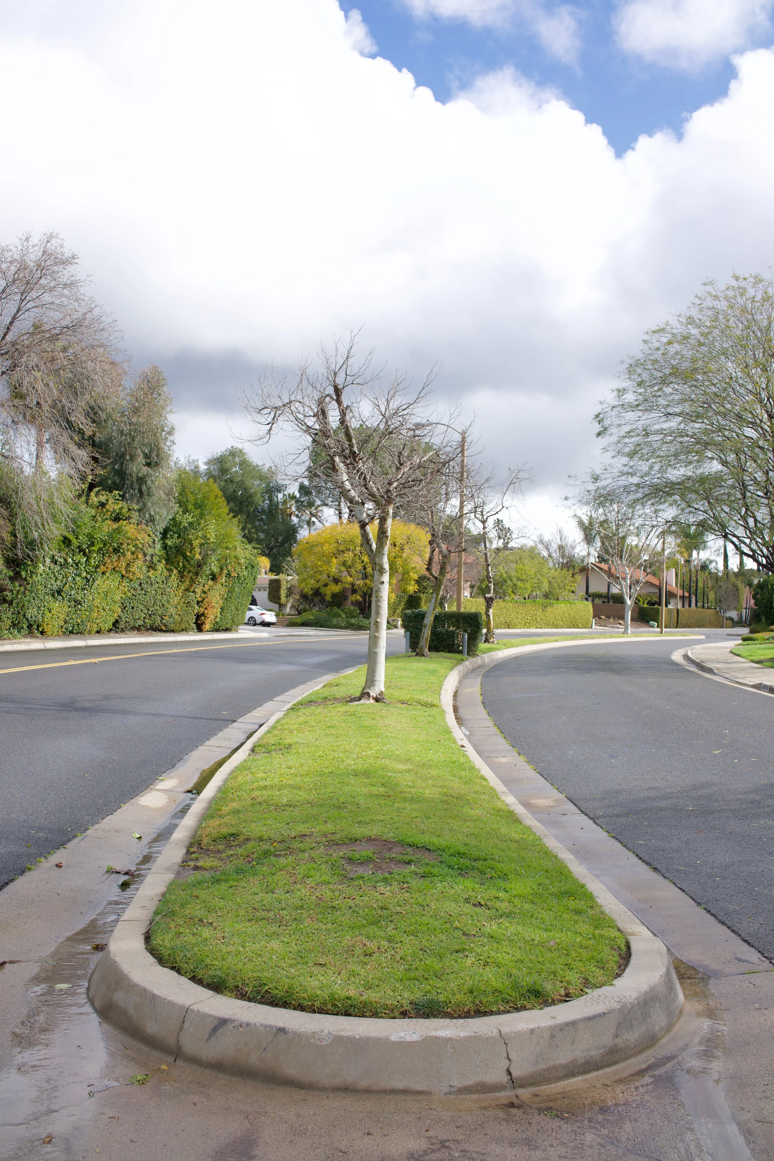  Equilibrium 2023:35 (2023) C-print on wood panel, 60”x40” 