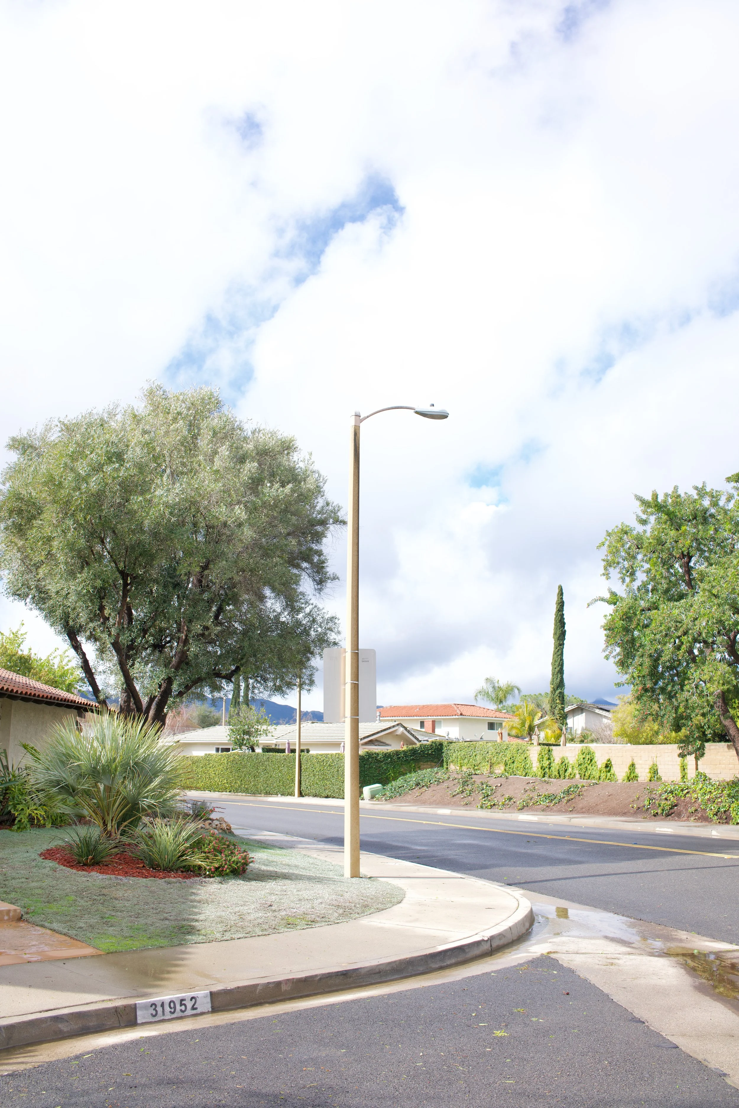  Equilibrium 2023:34 (2023) C-print on wood panel, 60”x40” 