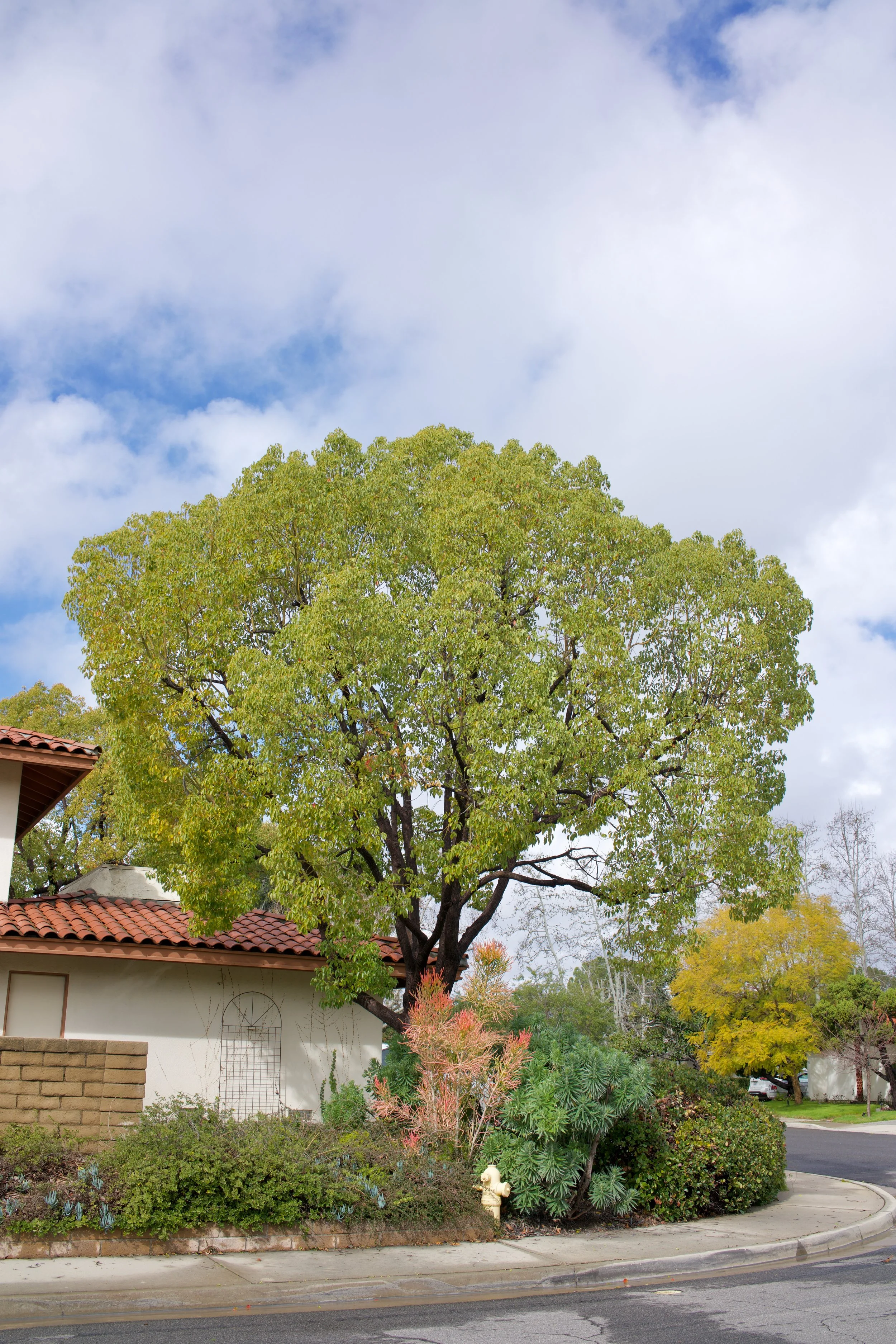  Equilibrium 2023:37 (2023) C-print on wood panel, 60”x40” 