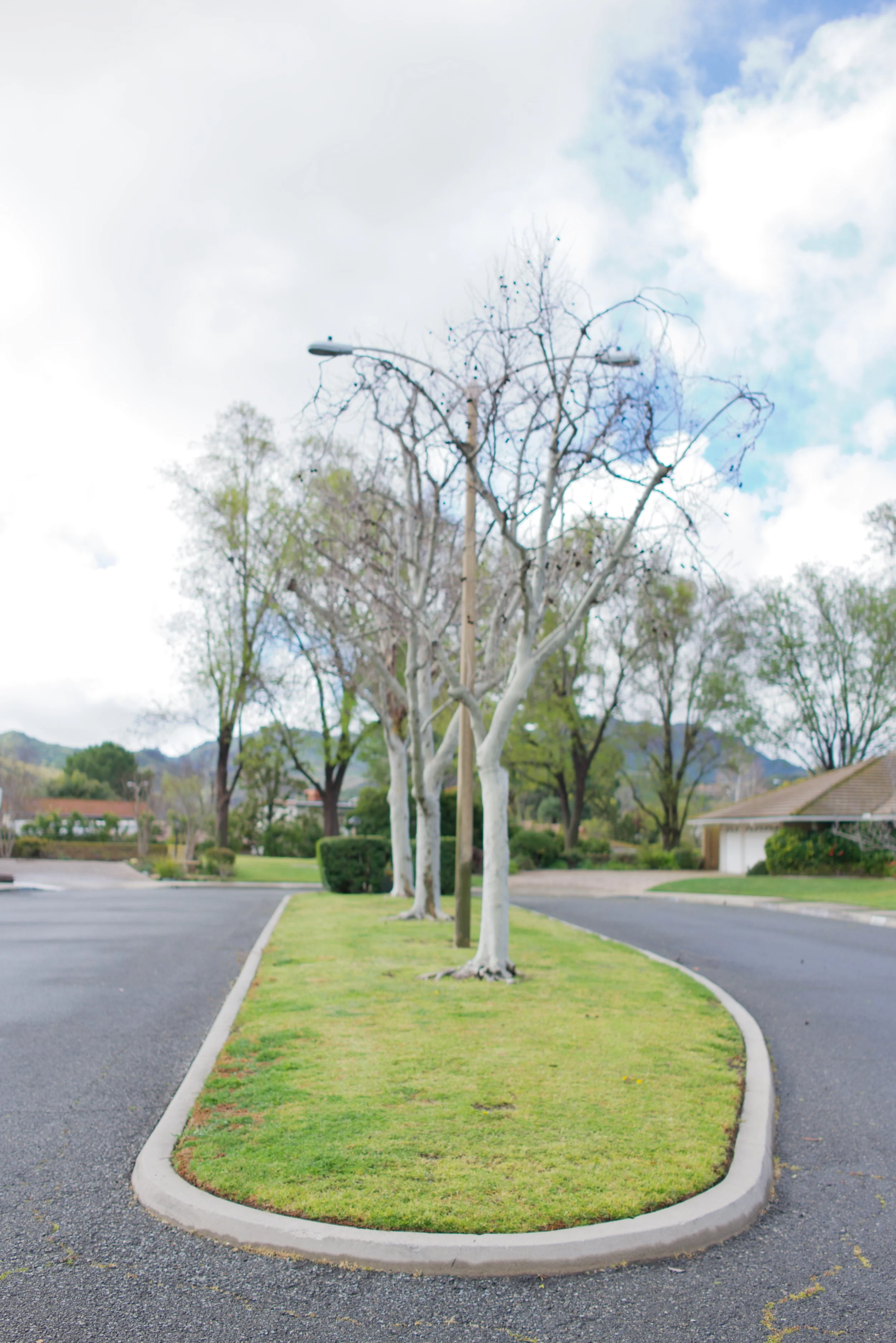  Equilibrium 2023:40 (2023) C-print on wood panel, 60”x40” 