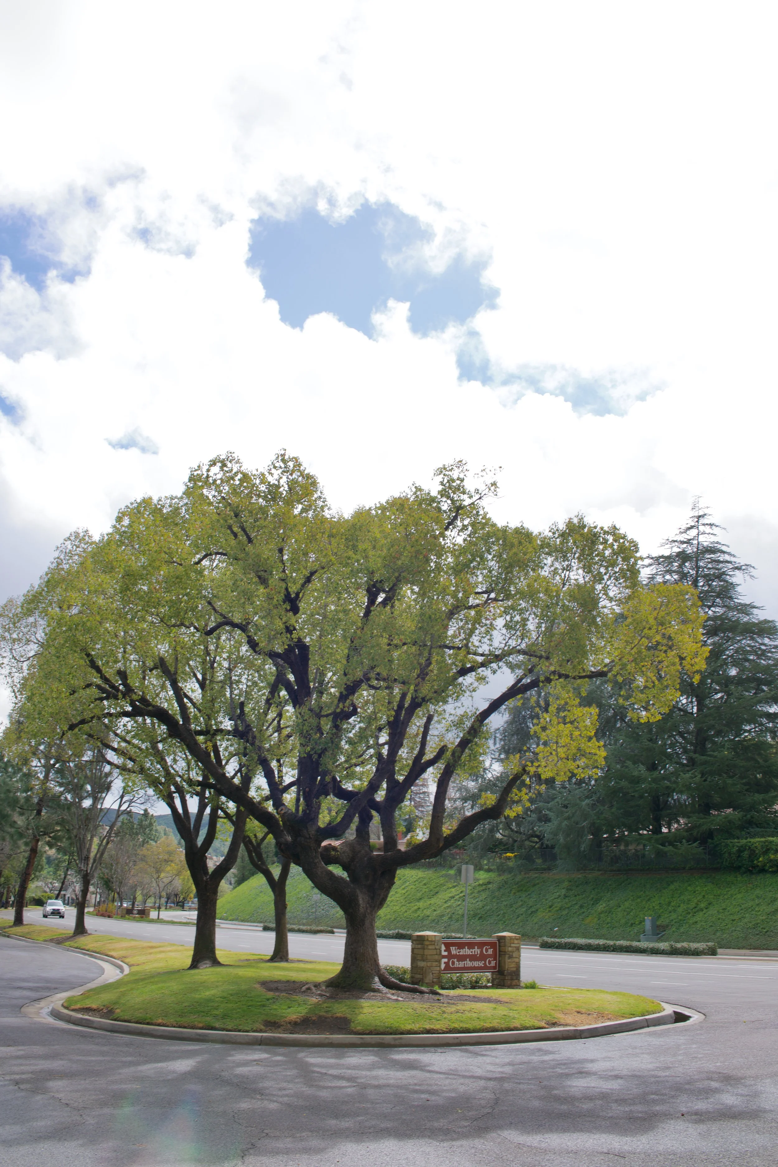  Equilibrium 2023:41 (2023) C-print on wood panel, 60”x40” 