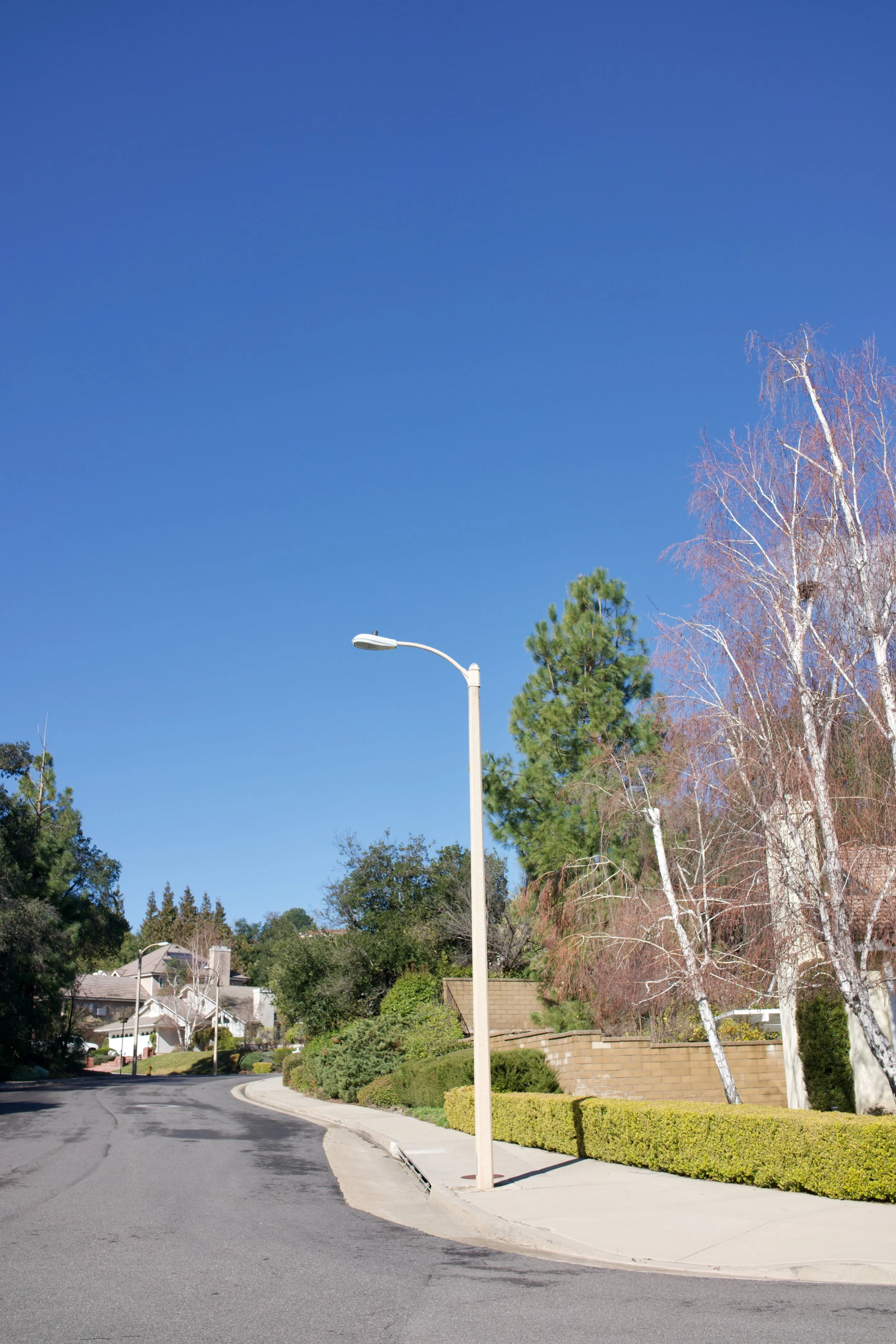  Equilibrium 2023:43 (2023) C-print on wood panel, 60”x40” 