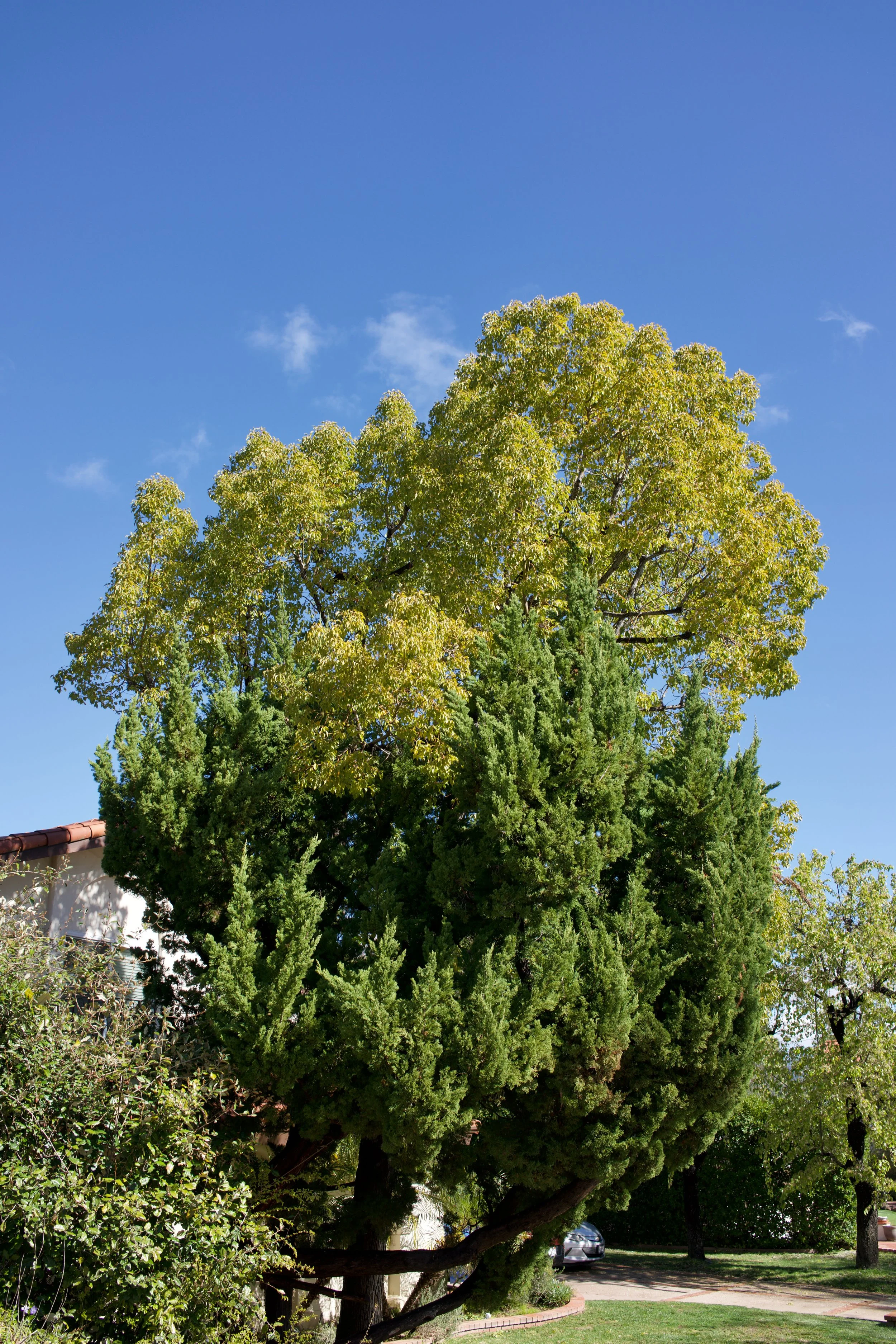  Equilibrium 2023:44 (2023) C-print on wood panel, 60”x40” 