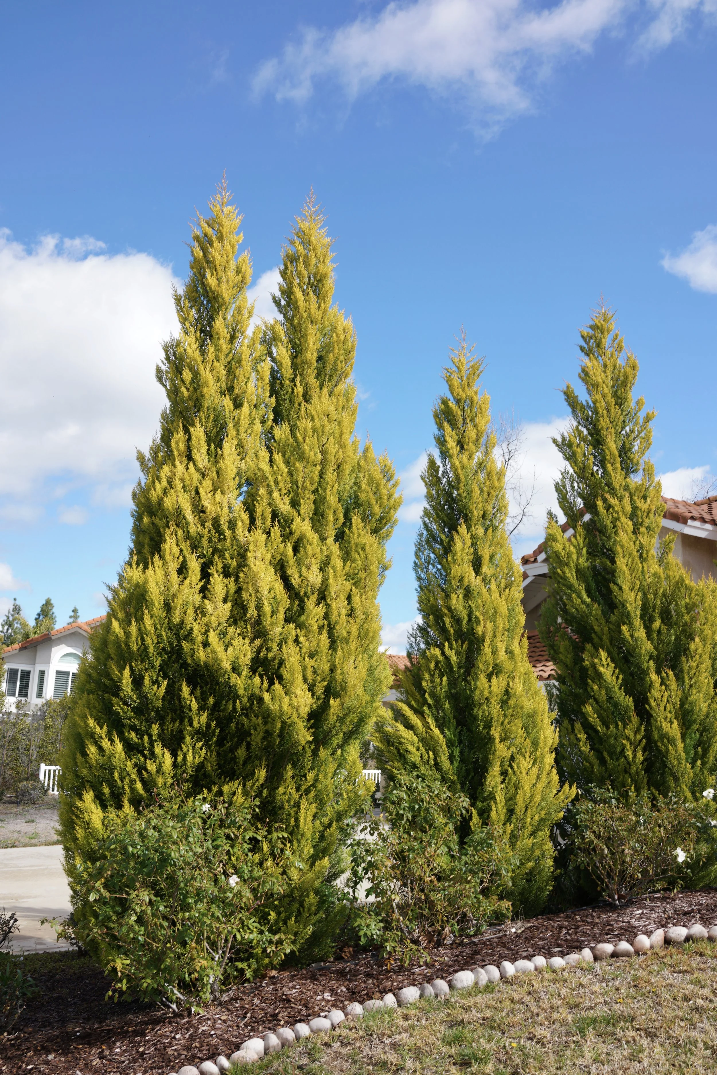  Equilibrium 2023:46 (2023) C-print on wood panel, 60”x40” 