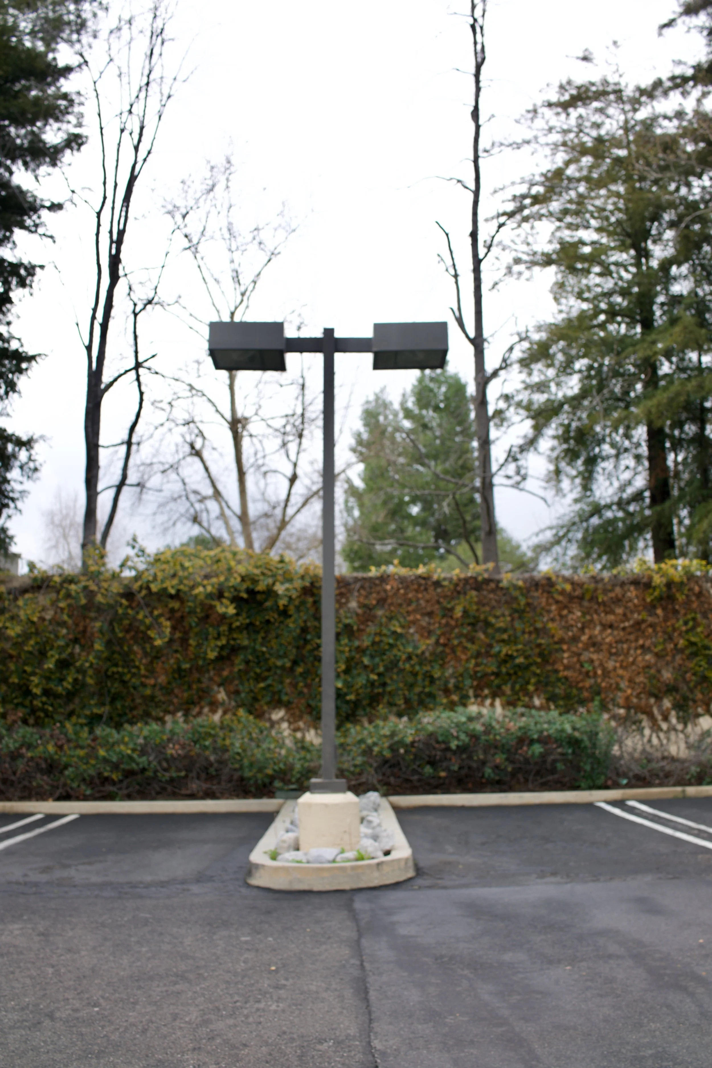  Equilibrium 2023:48 (2023) C-print on wood panel, 60”x40” 