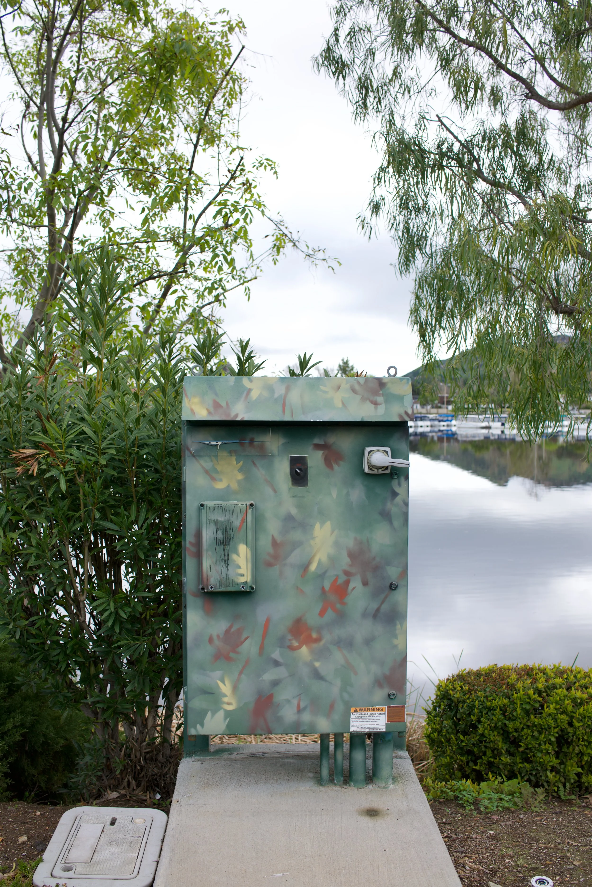  Equilibrium 2023:49 (2023) C-print on wood panel, 60”x40” 