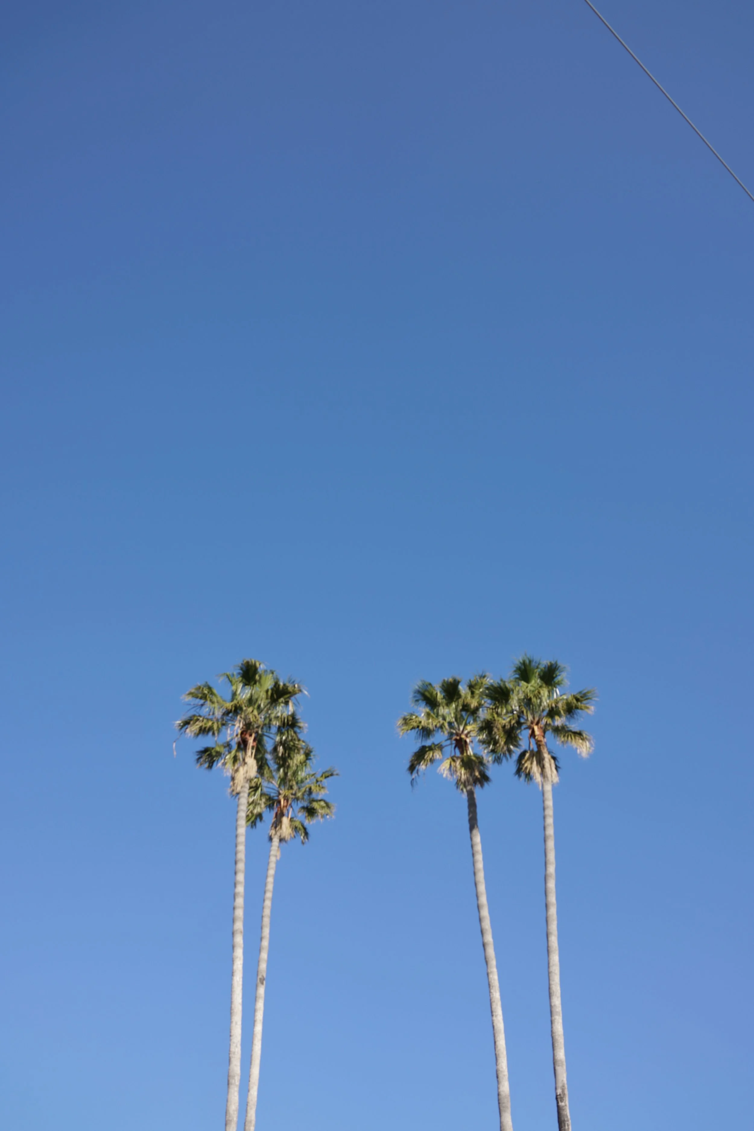  Equilibrium 2023:50 (2023) C-print on wood panel, 60”x40” 