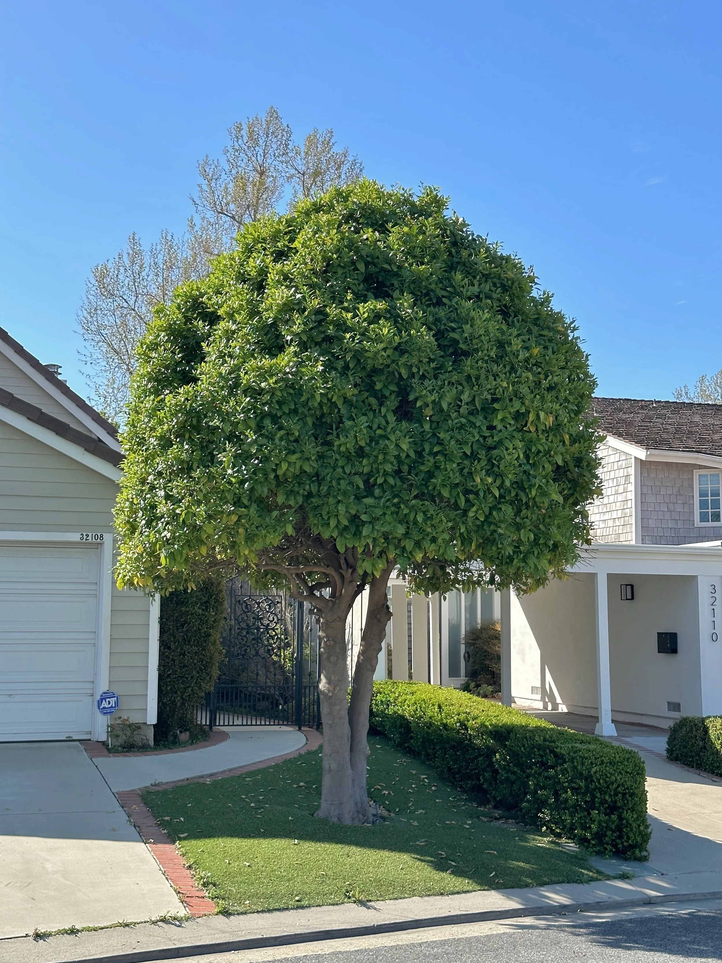  Equilibrium 2023:51 (2023) C-print on wood panel, 60”x40” 