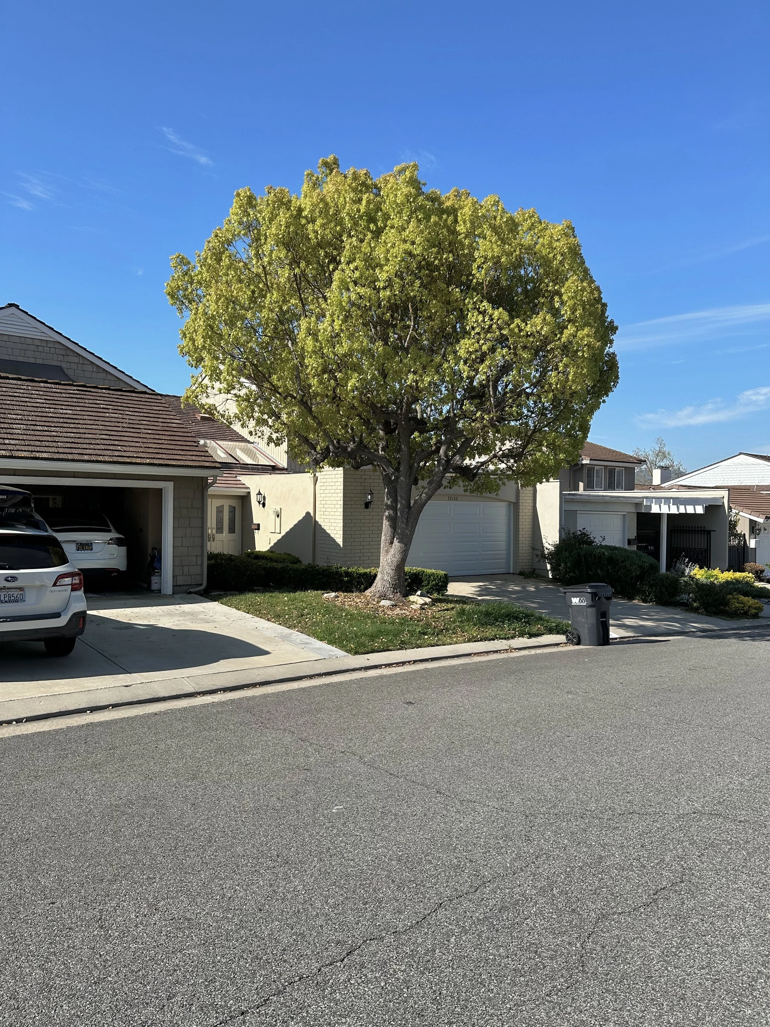  Equilibrium 2023:52 (2023) C-print on wood panel, 60”x40” 