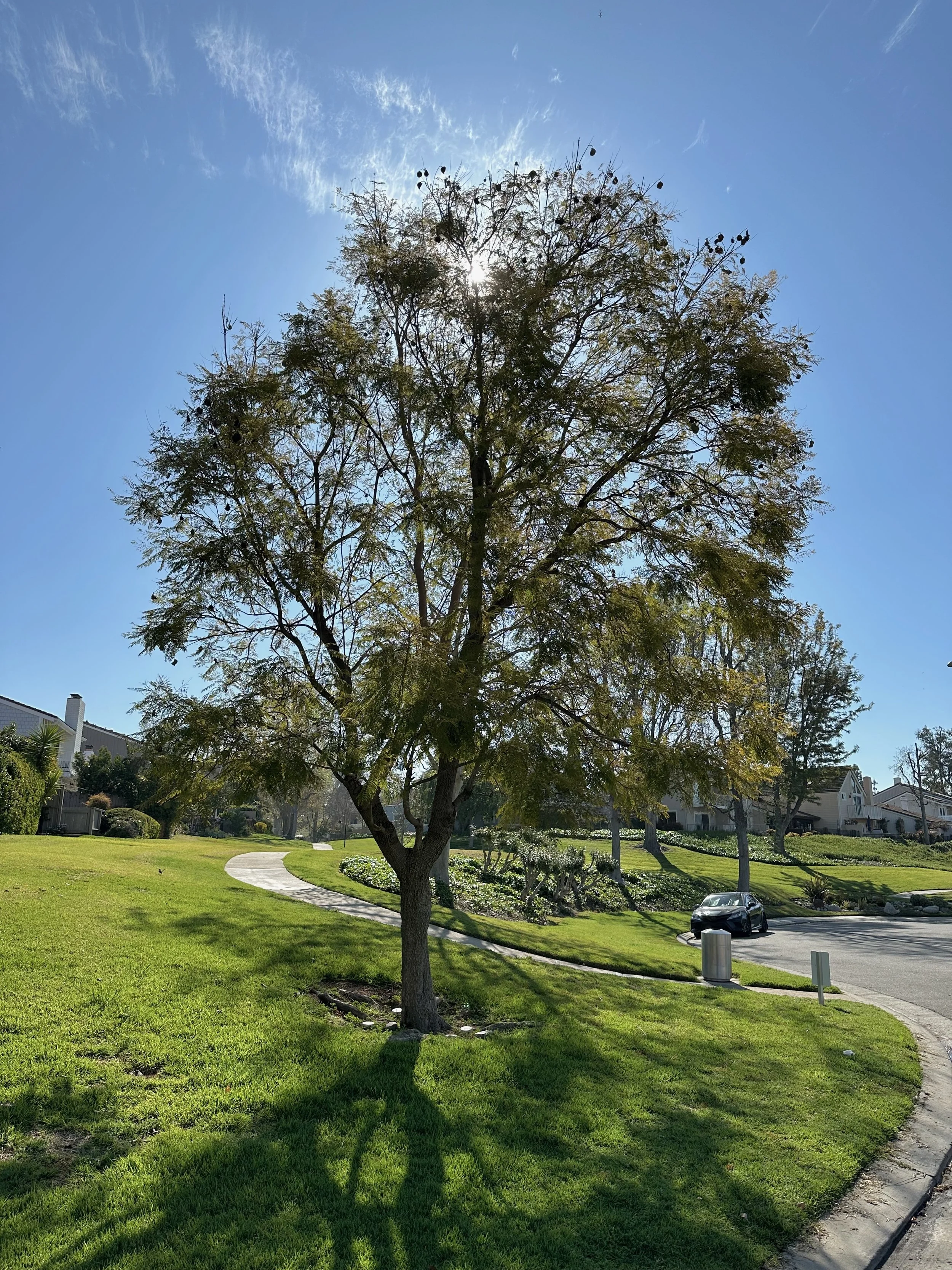  Equilibrium 2023:53 (2023) C-print on wood panel, 60”x40” 