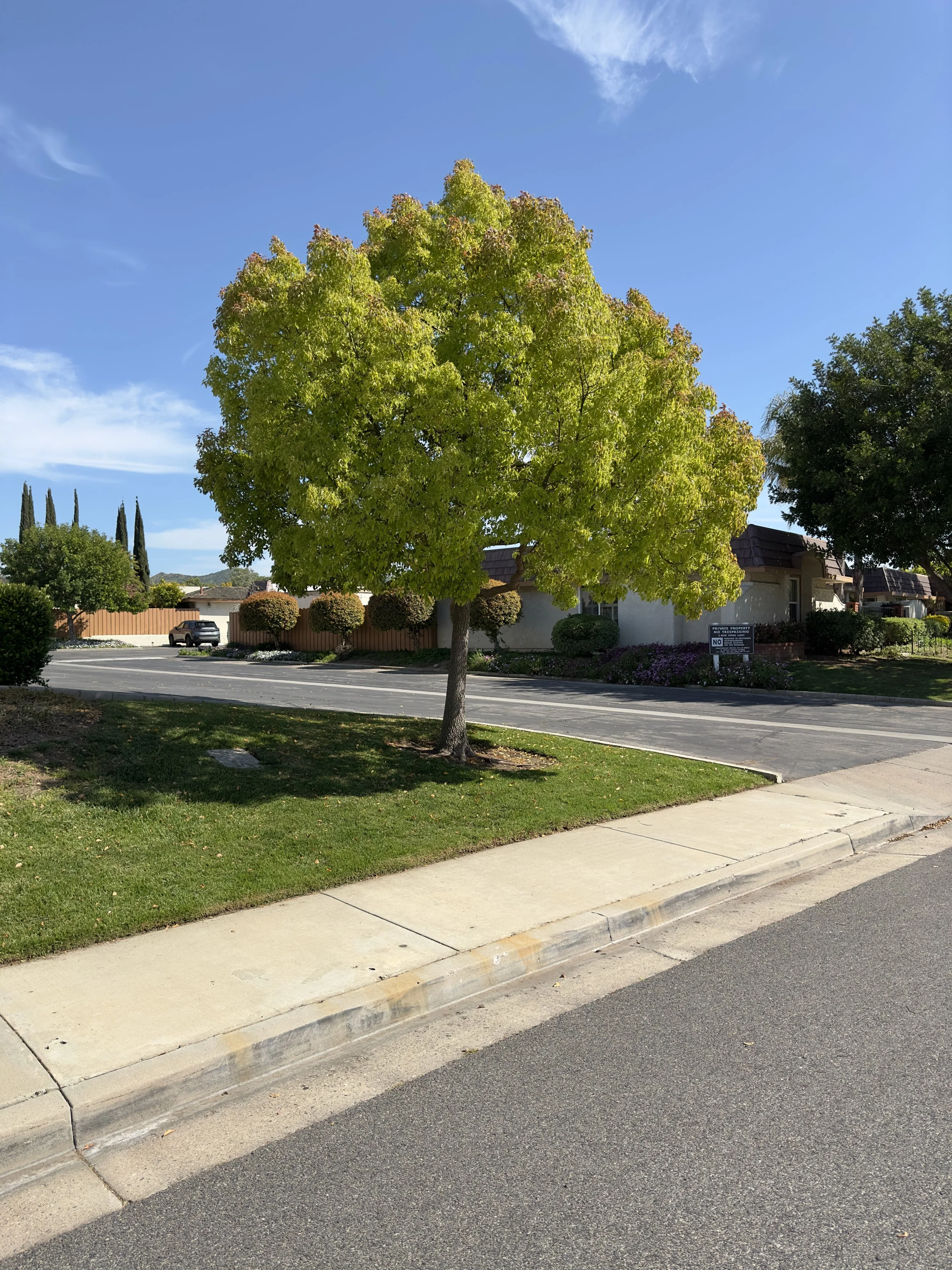  Equilibrium 2023:54 (2023) C-print on wood panel, 60”x40” 