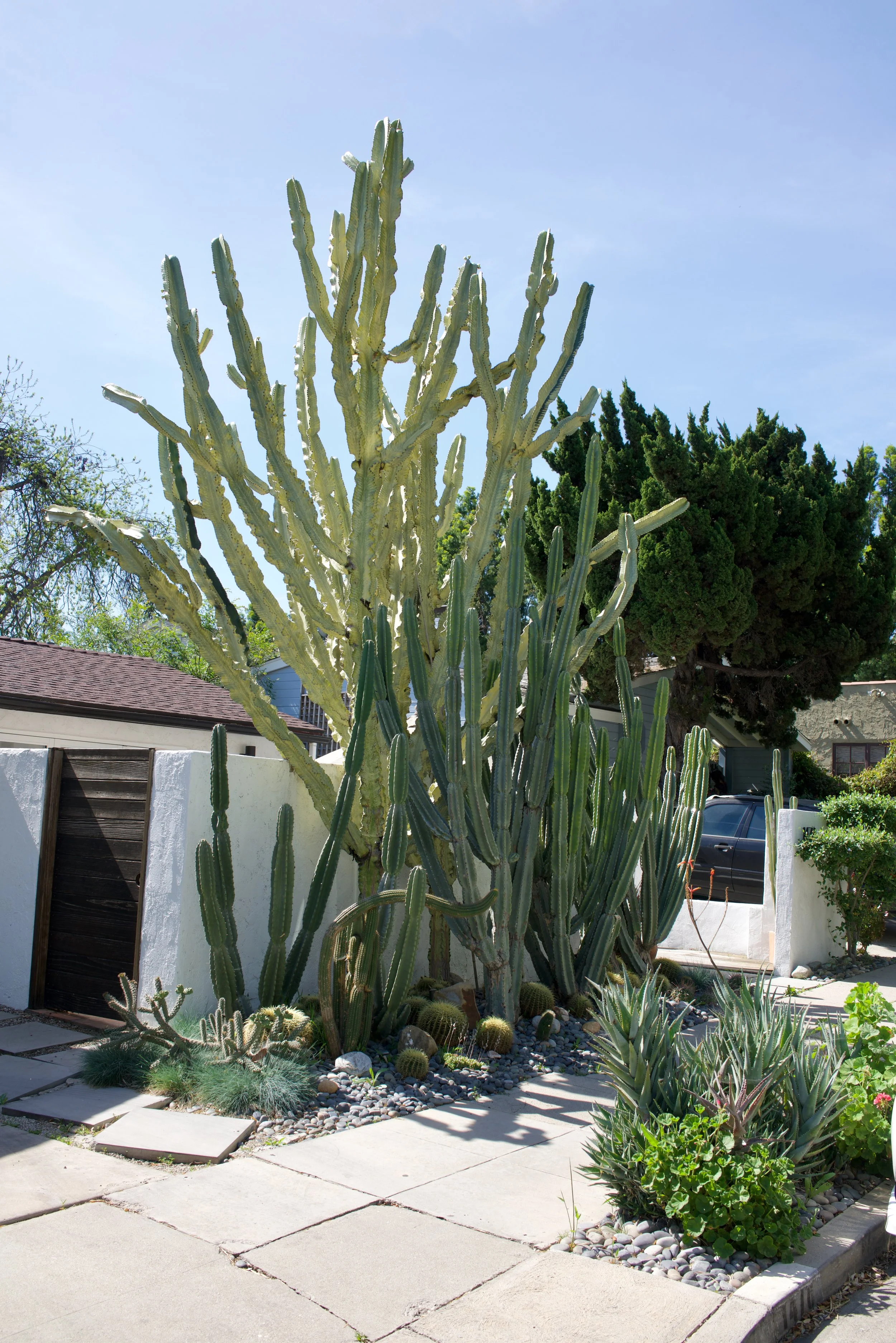  Equilibrium 2023:58 (2023) C-print on wood panel, 60”x40” 