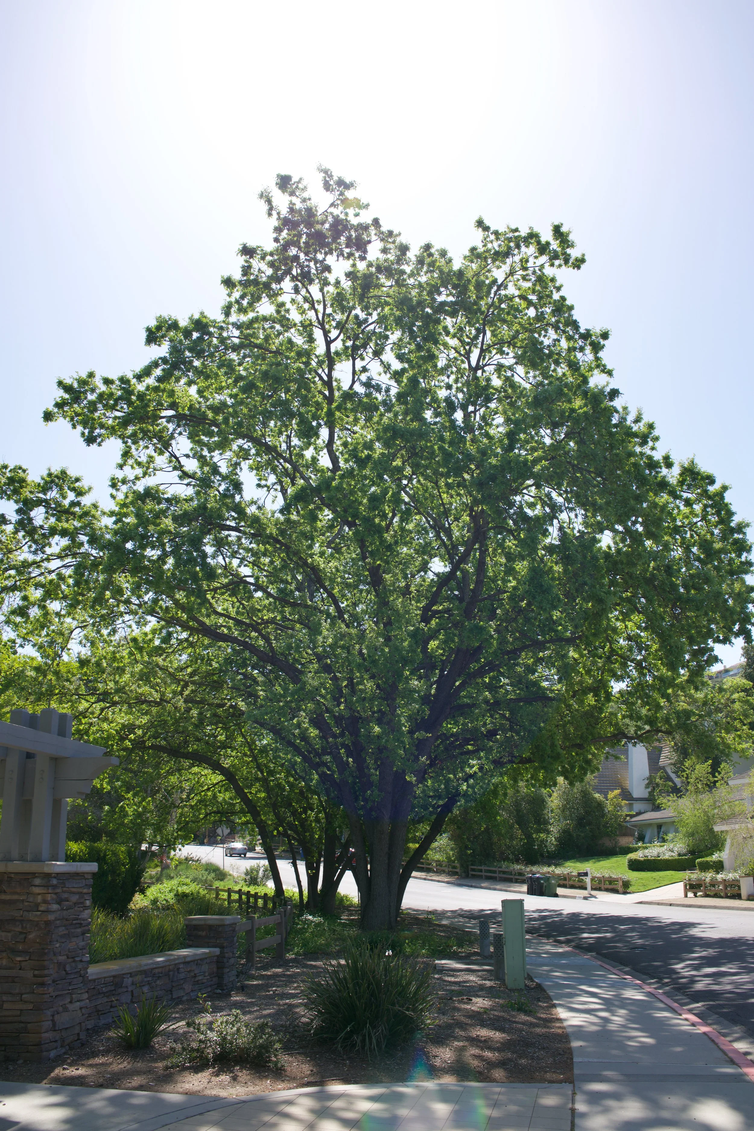  Equilibrium 2023:57 (2023) C-print on wood panel, 60”x40” 