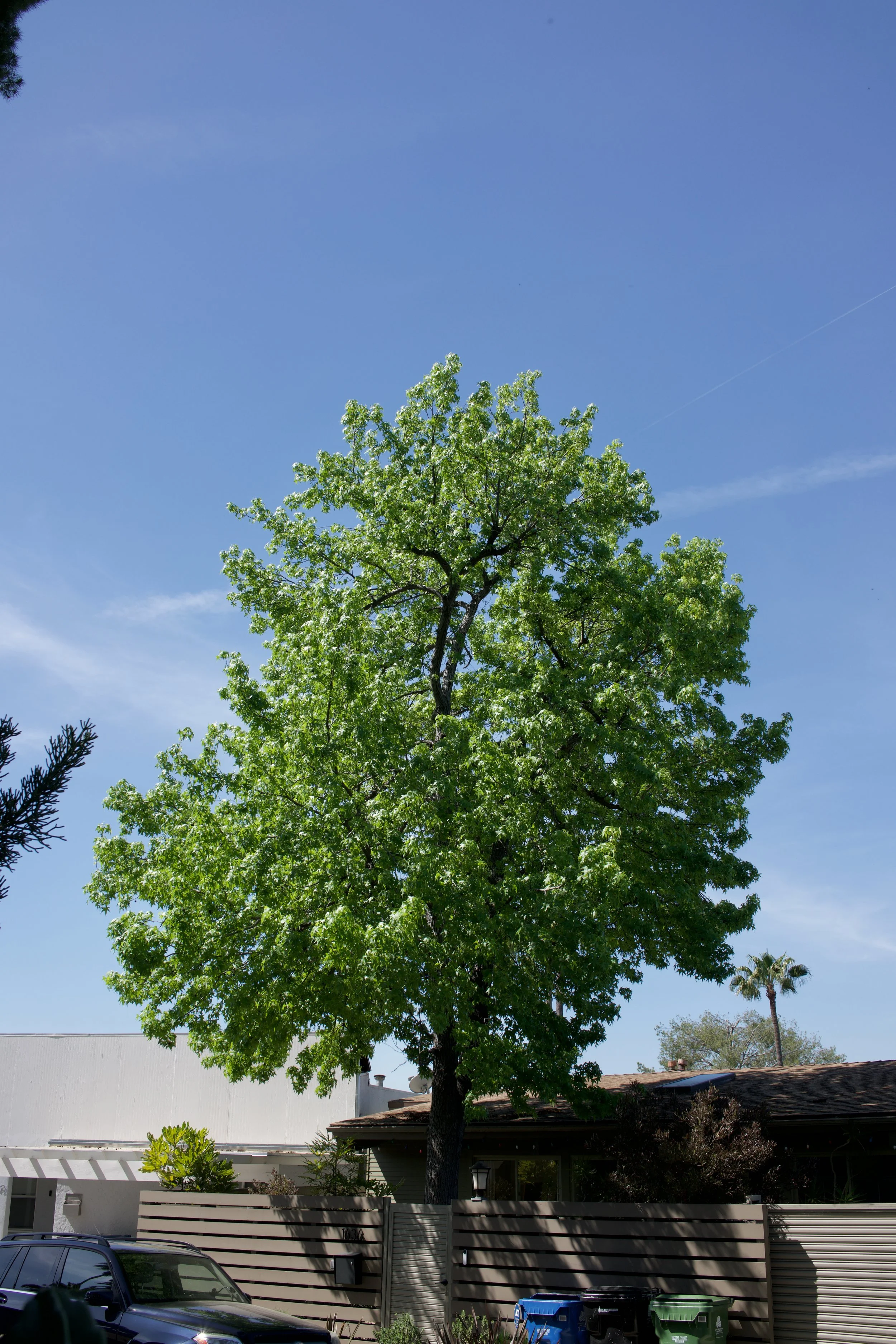  Equilibrium 2023:59 (2023) C-print on wood panel, 60”x40” 