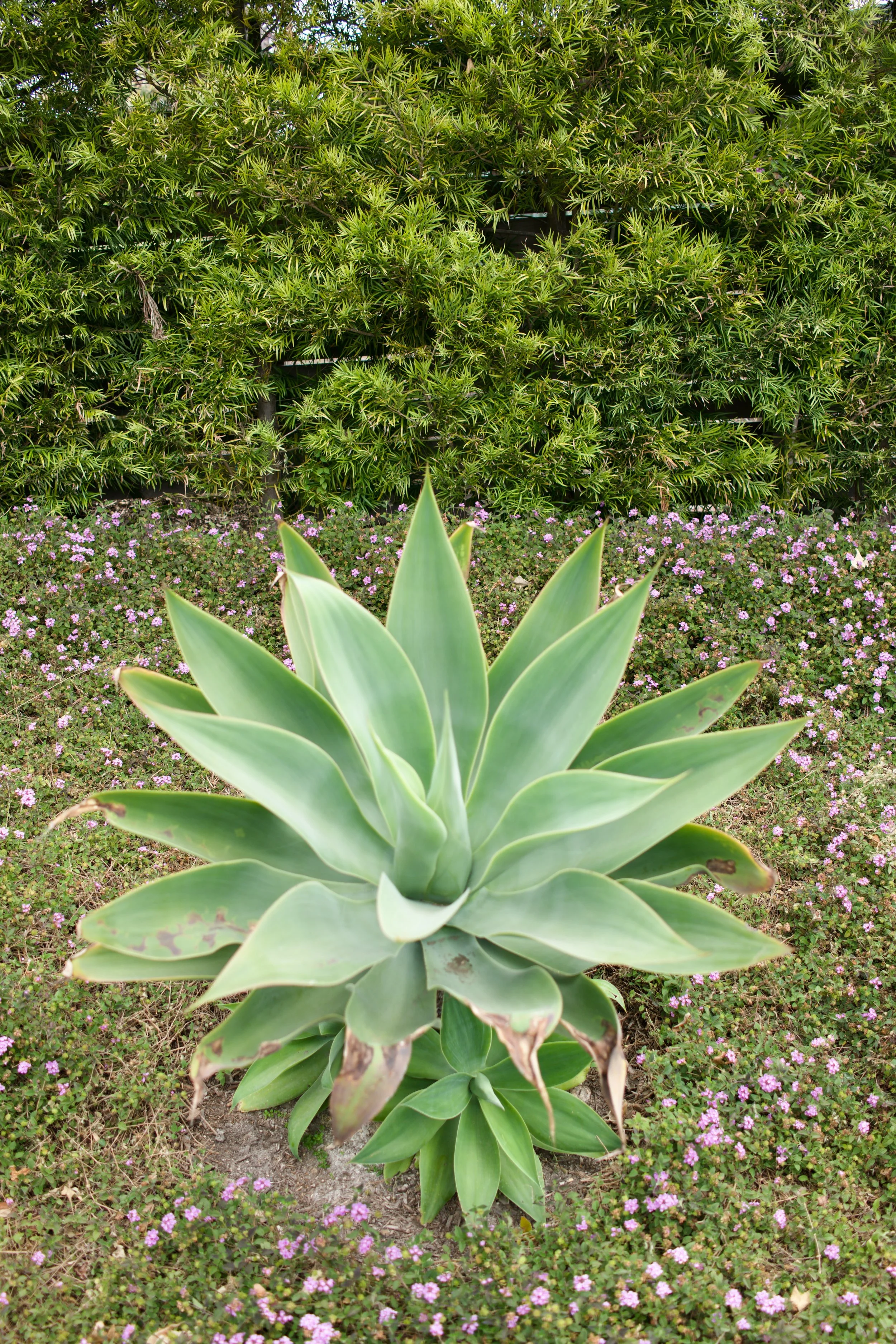  Equilibrium 2023:60 (2023) C-print on wood panel, 60”x40” 