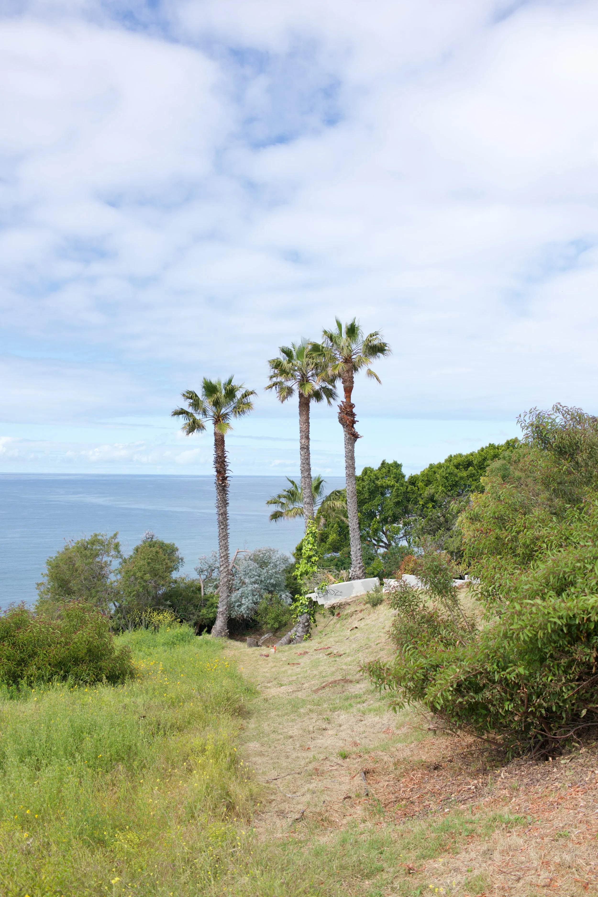  Equilibrium 2023:62 (2023) C-print on wood panel, 60”x40” 