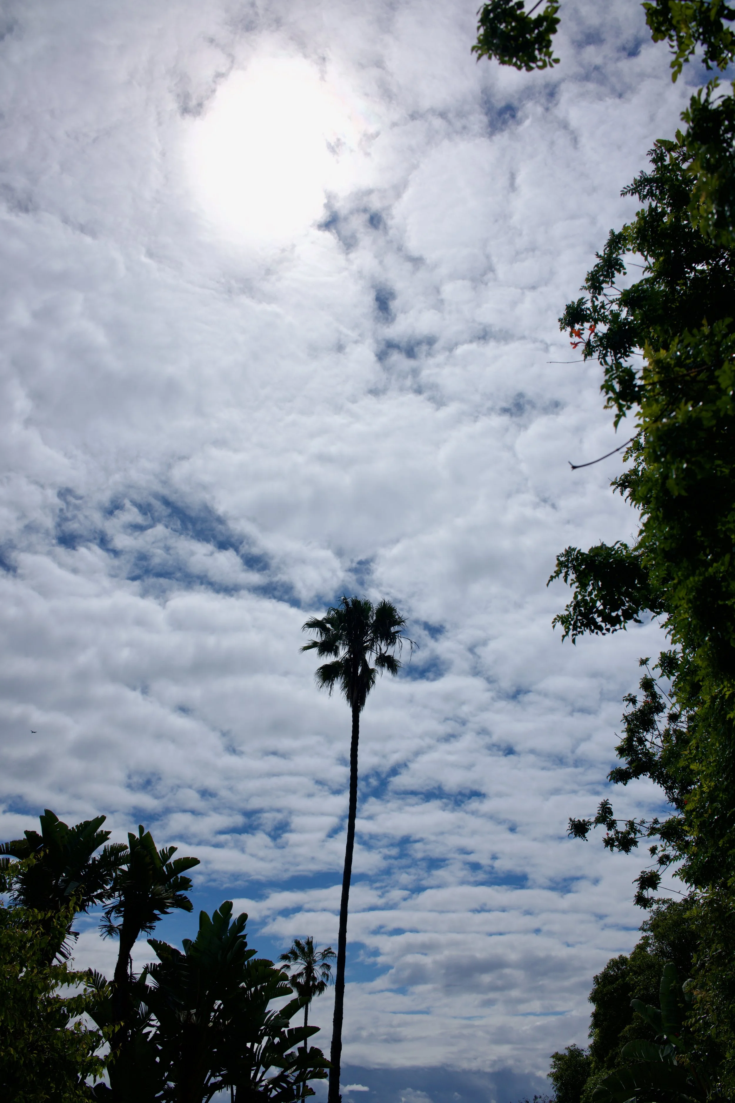  Equilibrium 2023:63 (2023) C-print on wood panel, 60”x40” 