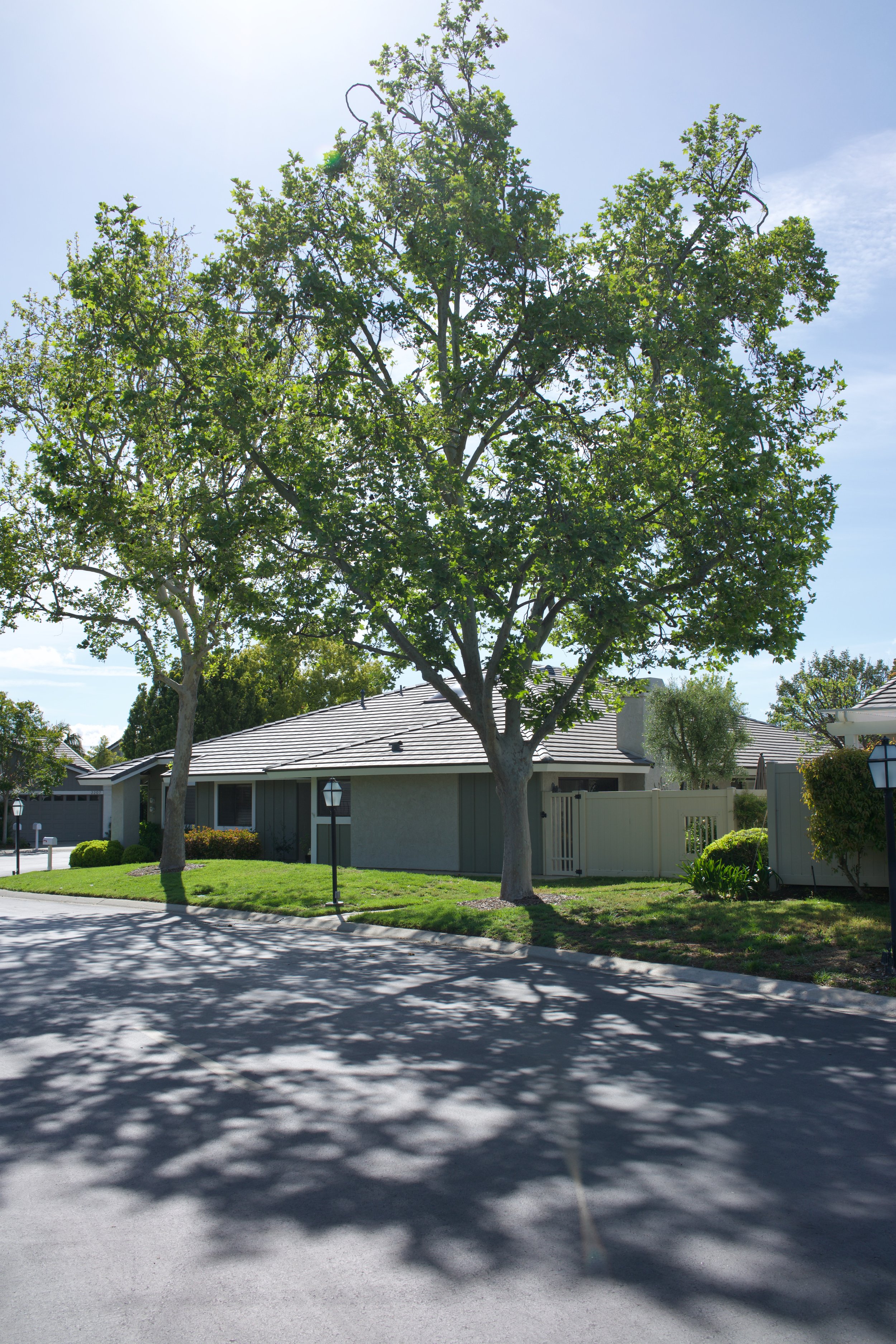  Equilibrium 2023:64 (2023) C-print on wood panel, 60”x40” 